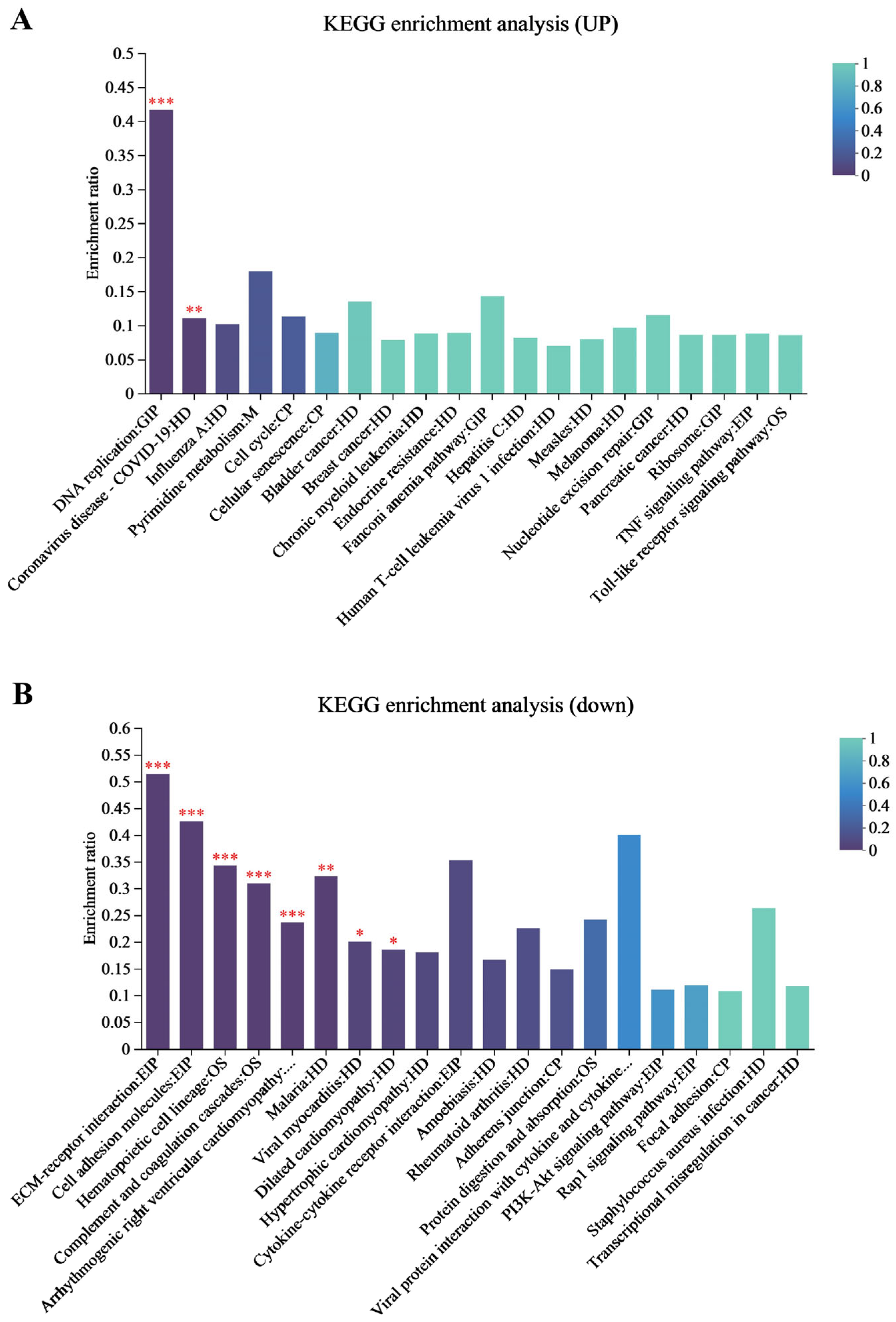 Viruses 17 00647 g003