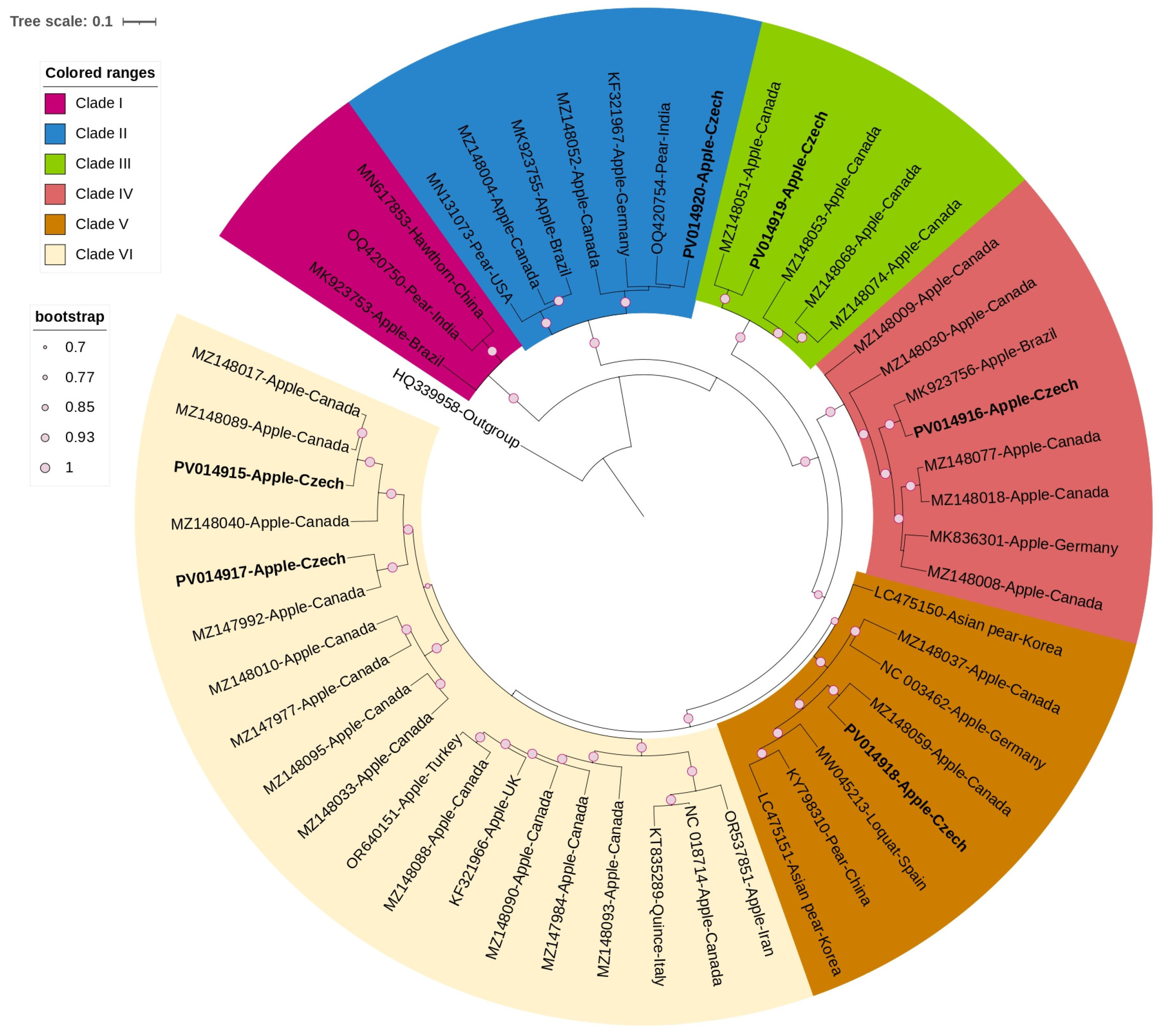 Viruses 17 00650 g002