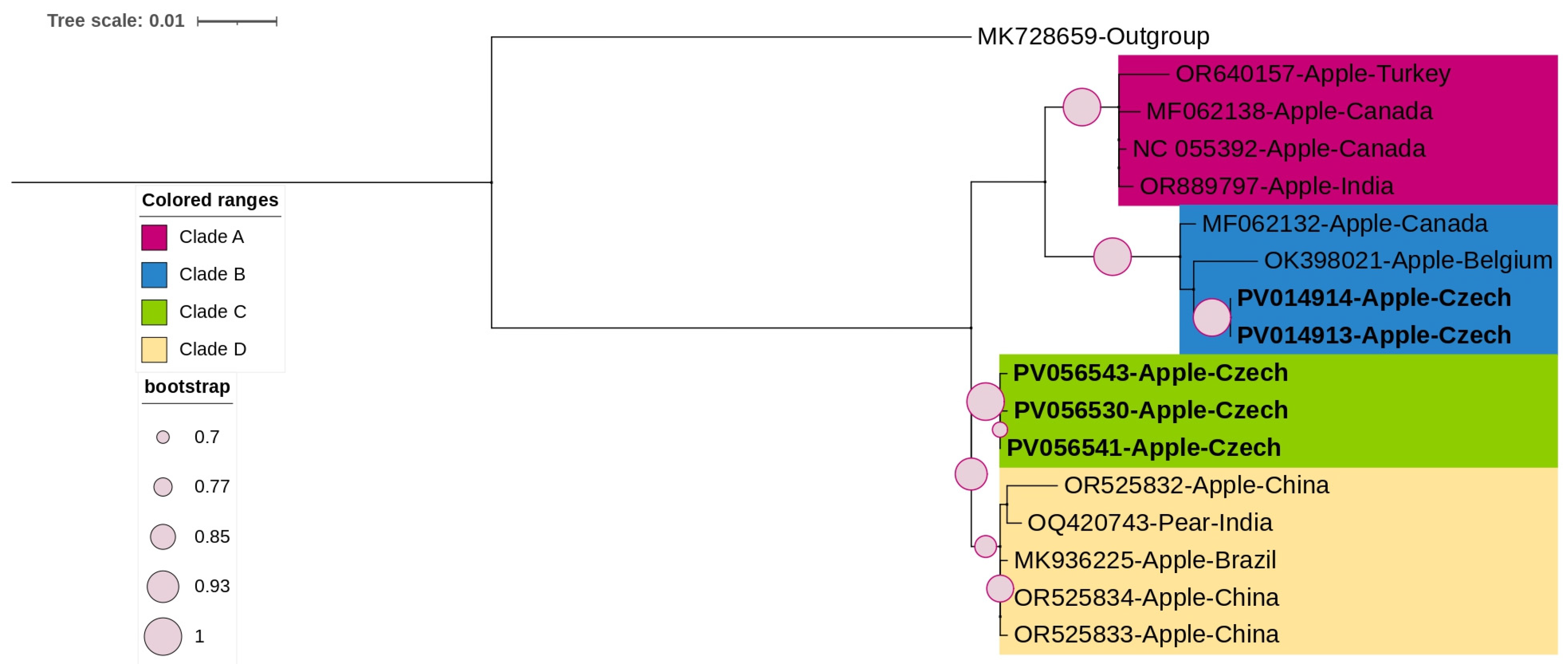 Viruses 17 00650 g003