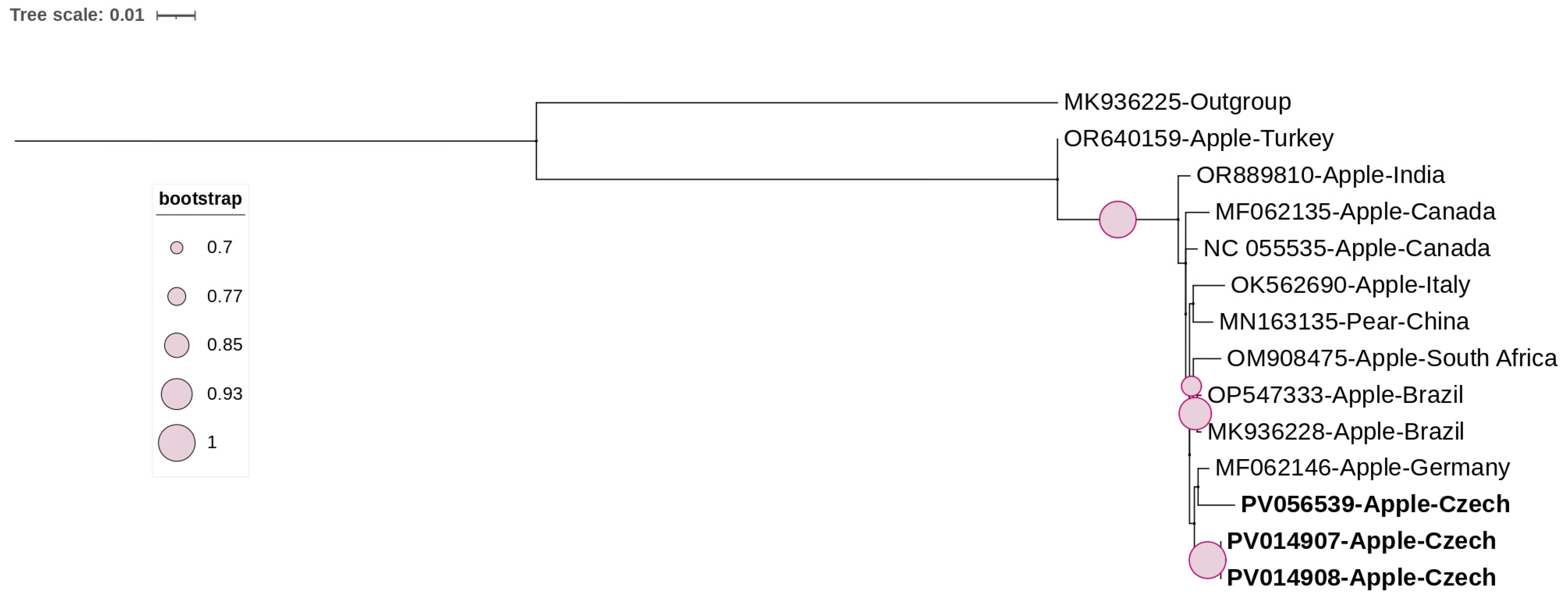 Viruses 17 00650 g004