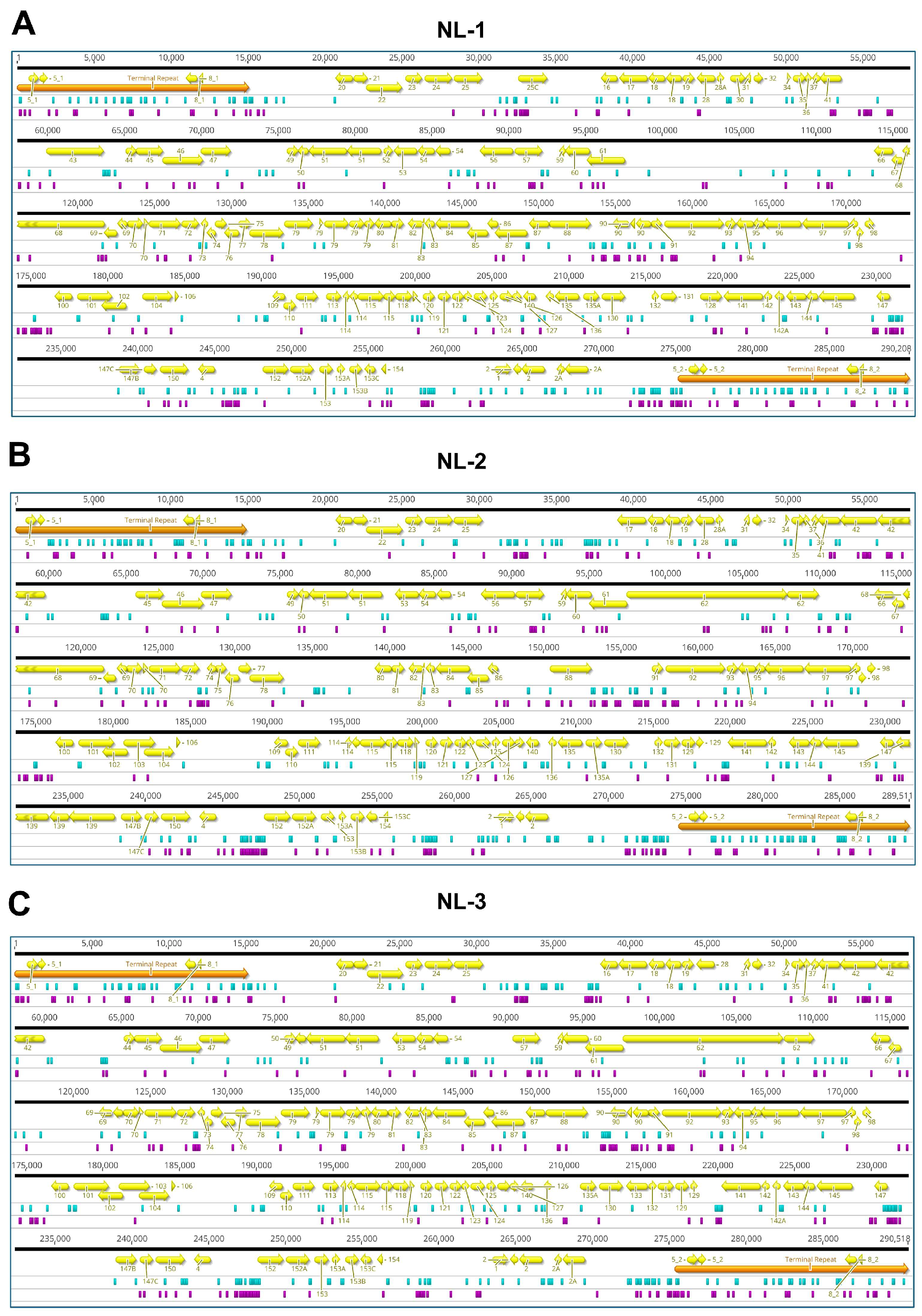 Viruses 17 00658 g002