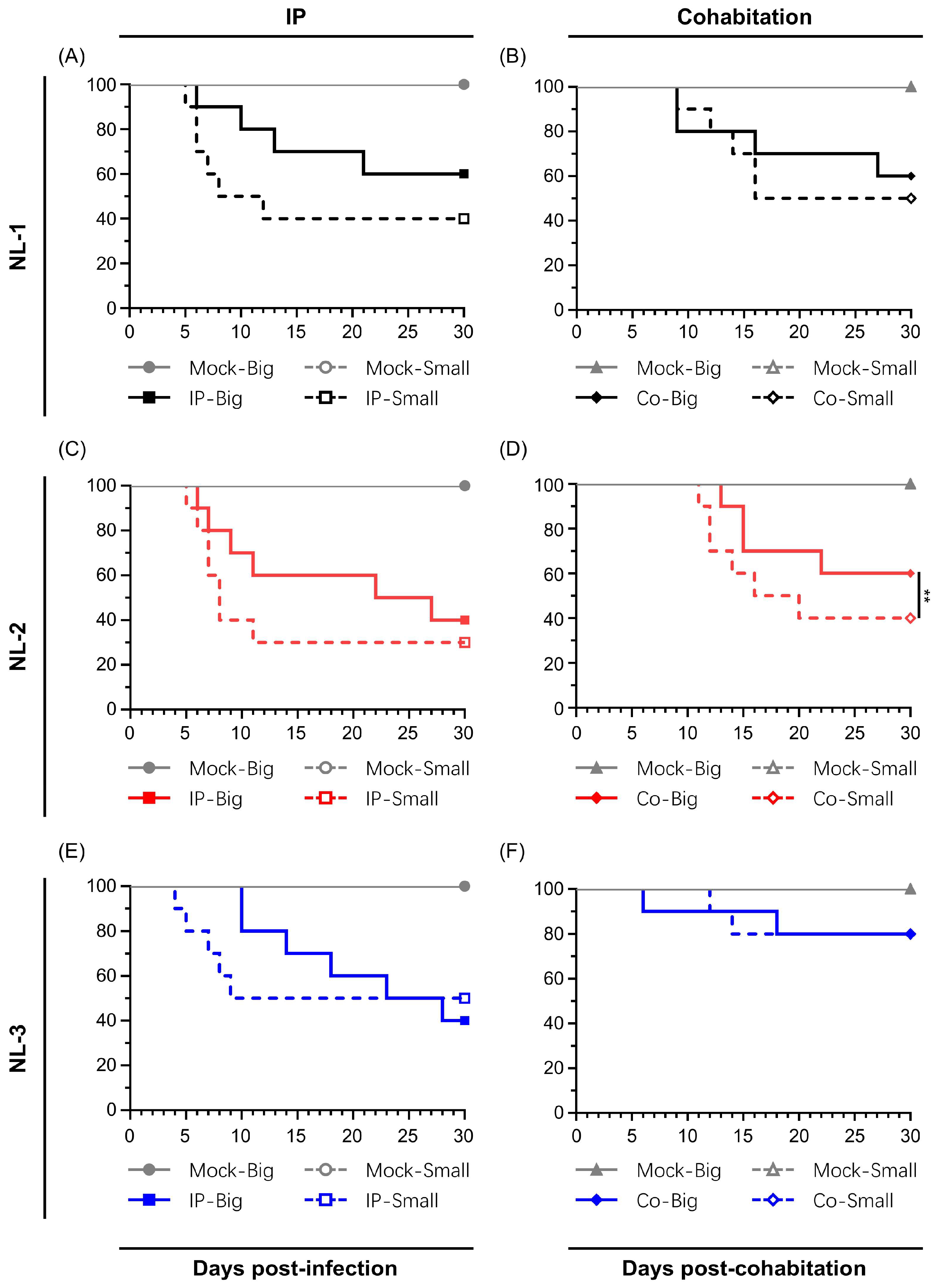 Viruses 17 00658 g004