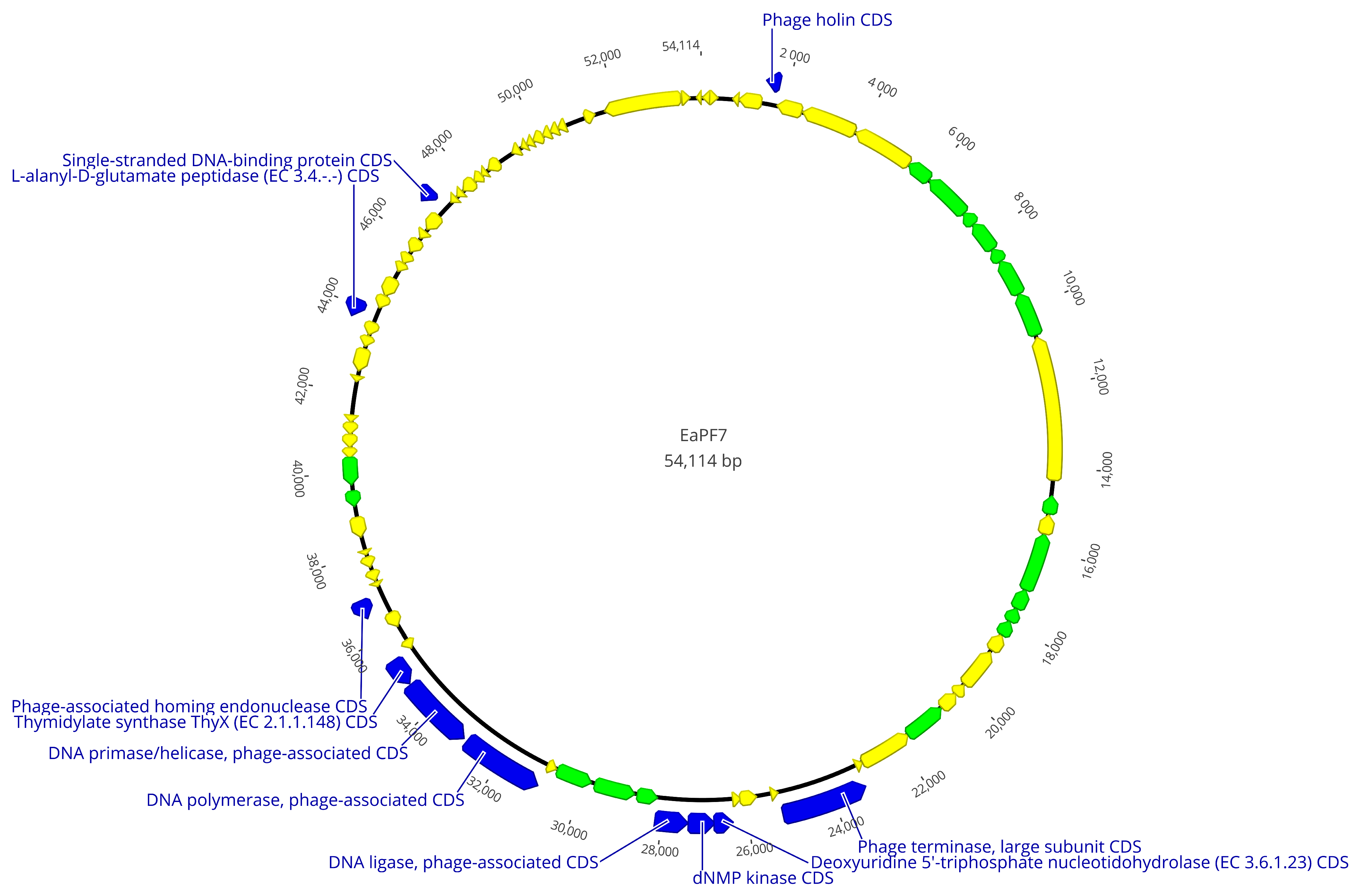 Viruses 17 00677 g006 Viruses 17 00677 g006