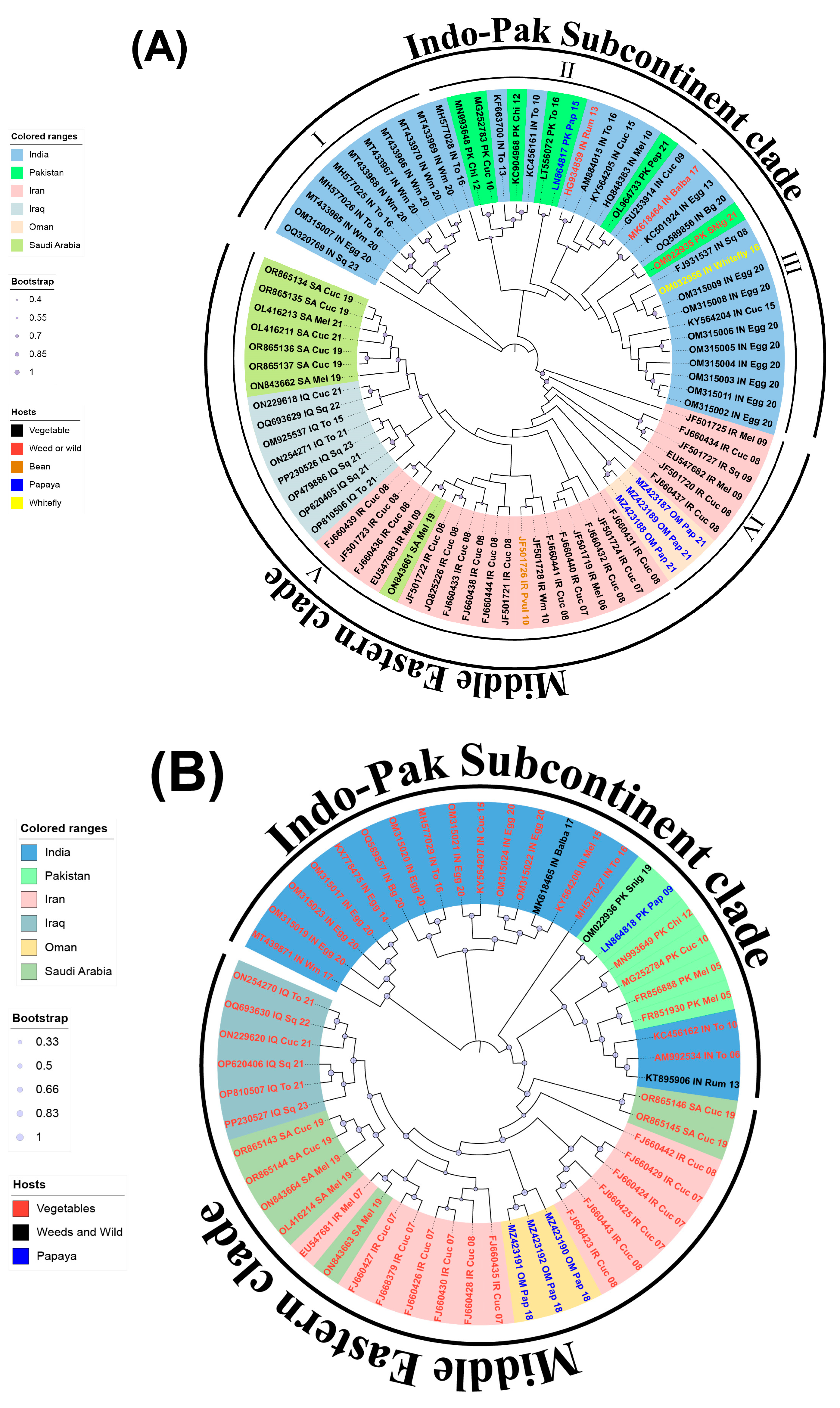 Viruses 17 00678 g001 Viruses 17 00678 g001