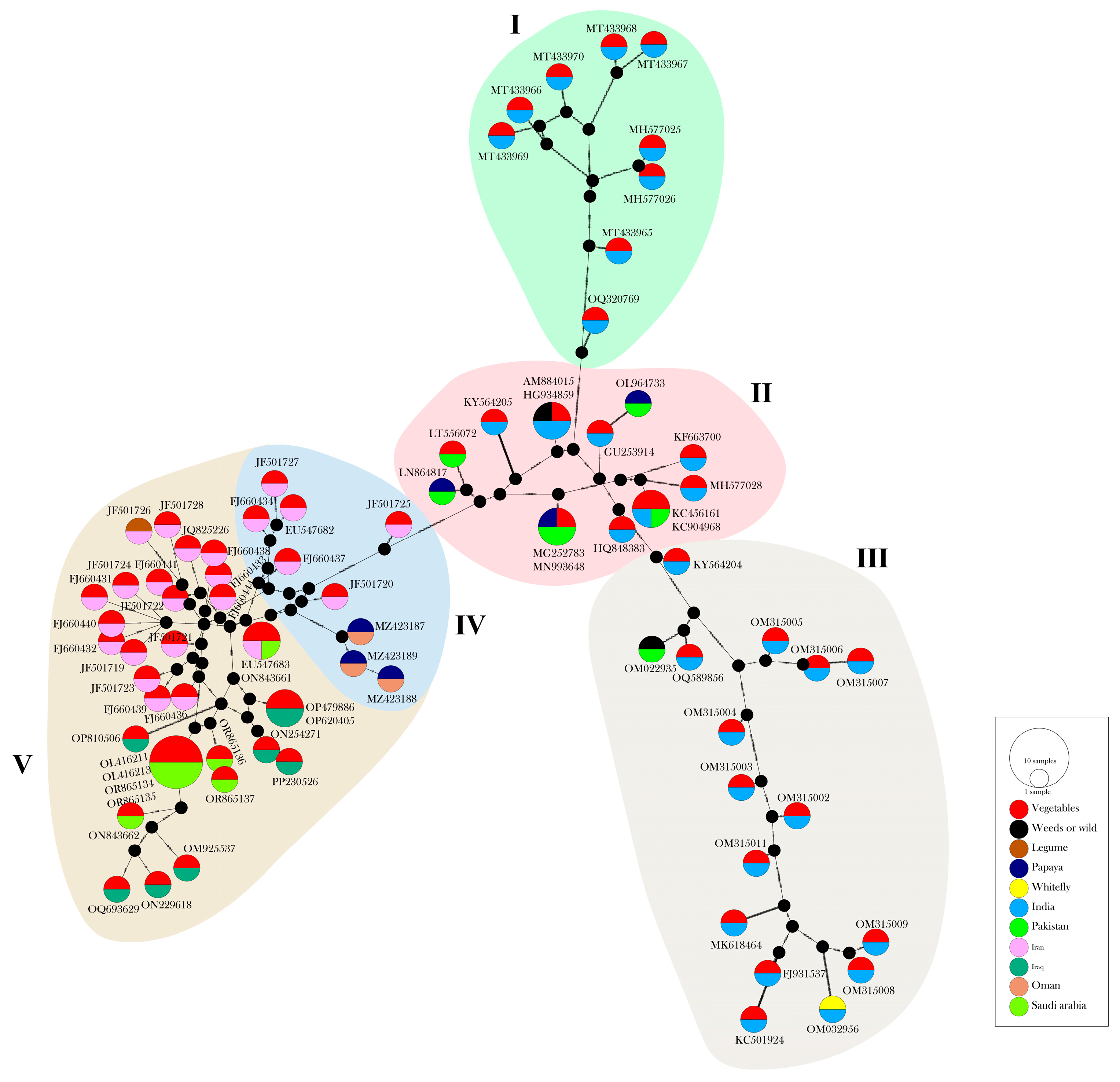 Viruses 17 00678 g002 Viruses 17 00678 g002
