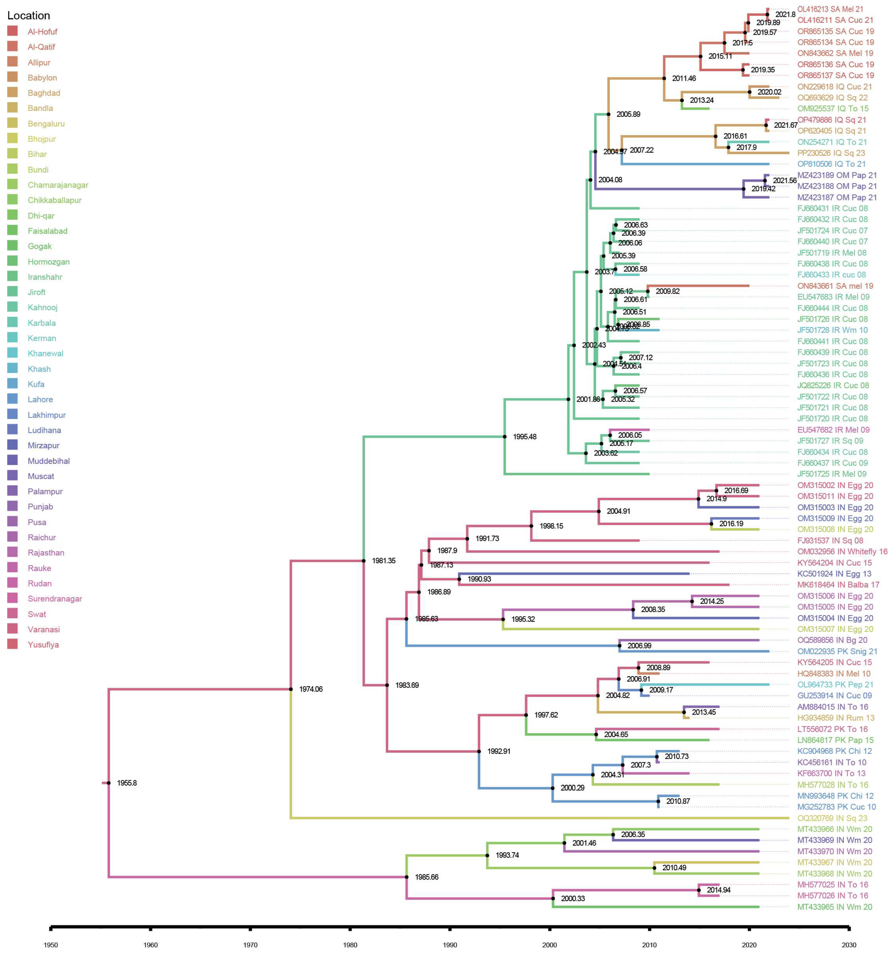 Viruses 17 00678 g004 Viruses 17 00678 g004