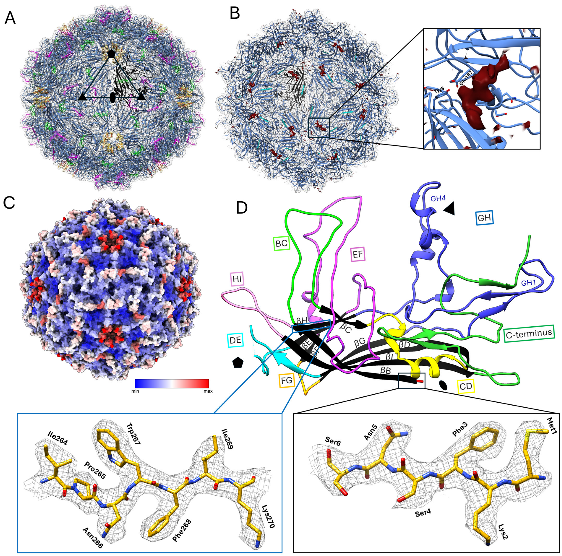 Viruses 17 00679 g002 Viruses 17 00679 g002