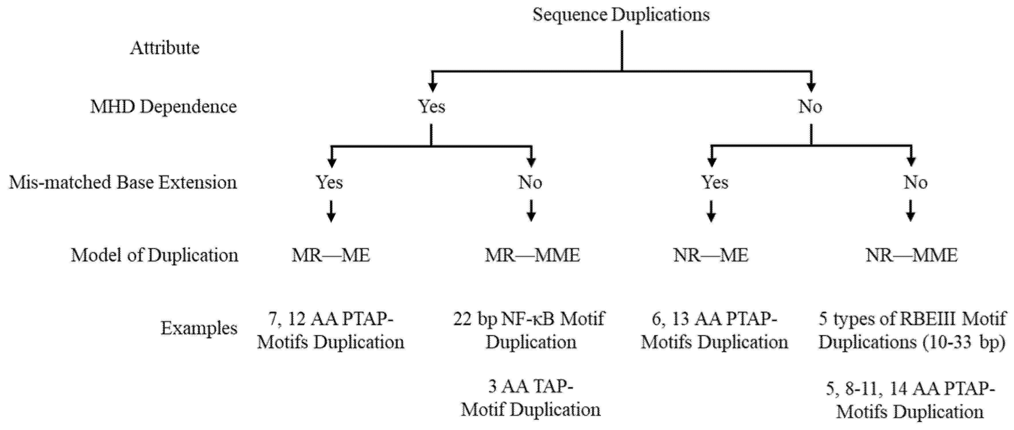 Viruses 17 00680 g001 Viruses 17 00680 g001