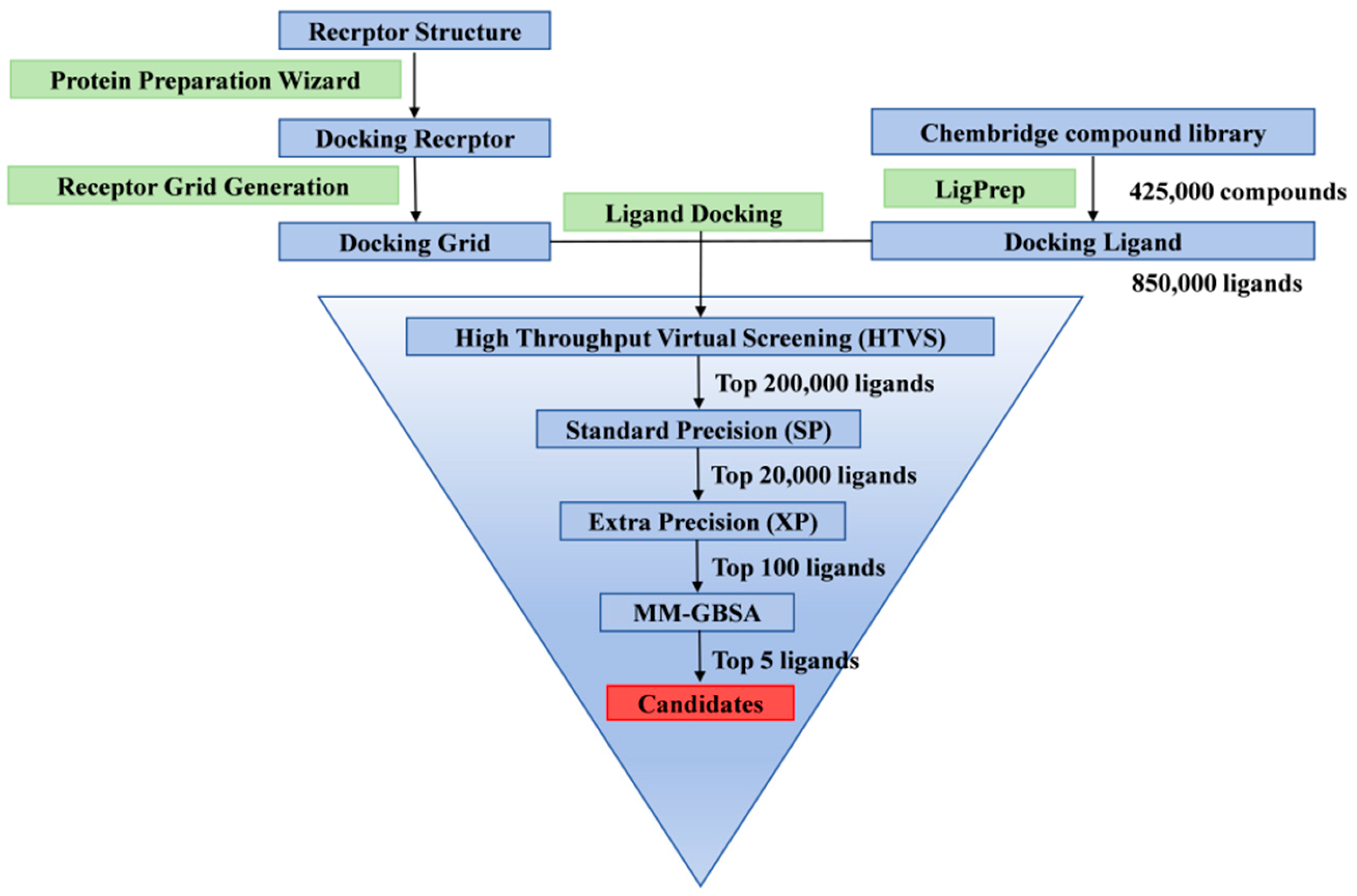 Viruses 17 00681 g002