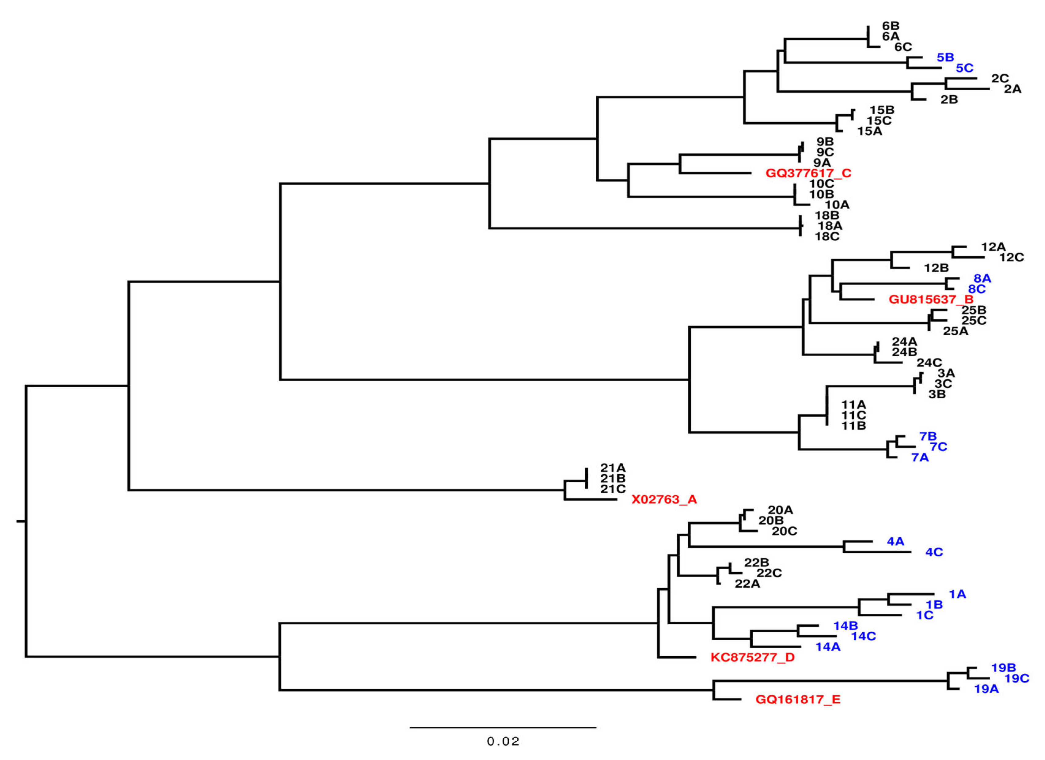 Viruses 17 00684 g002