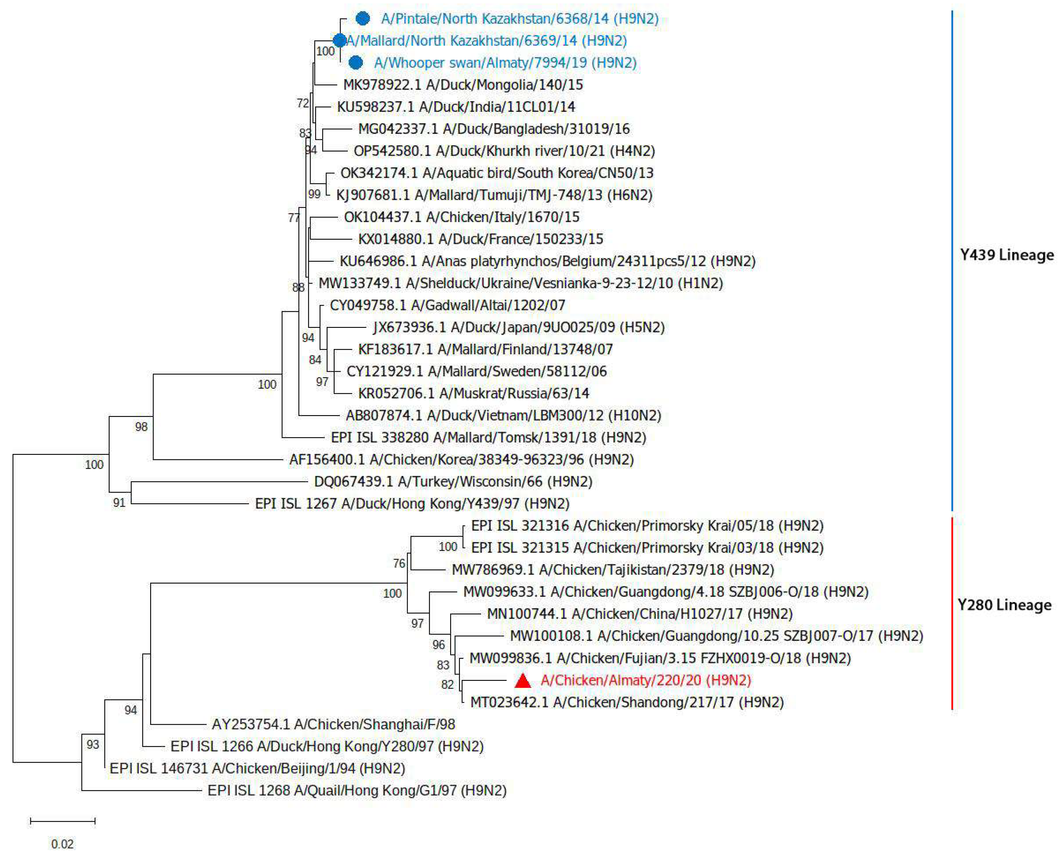 Viruses 17 00685 g003 Viruses 17 00685 g003