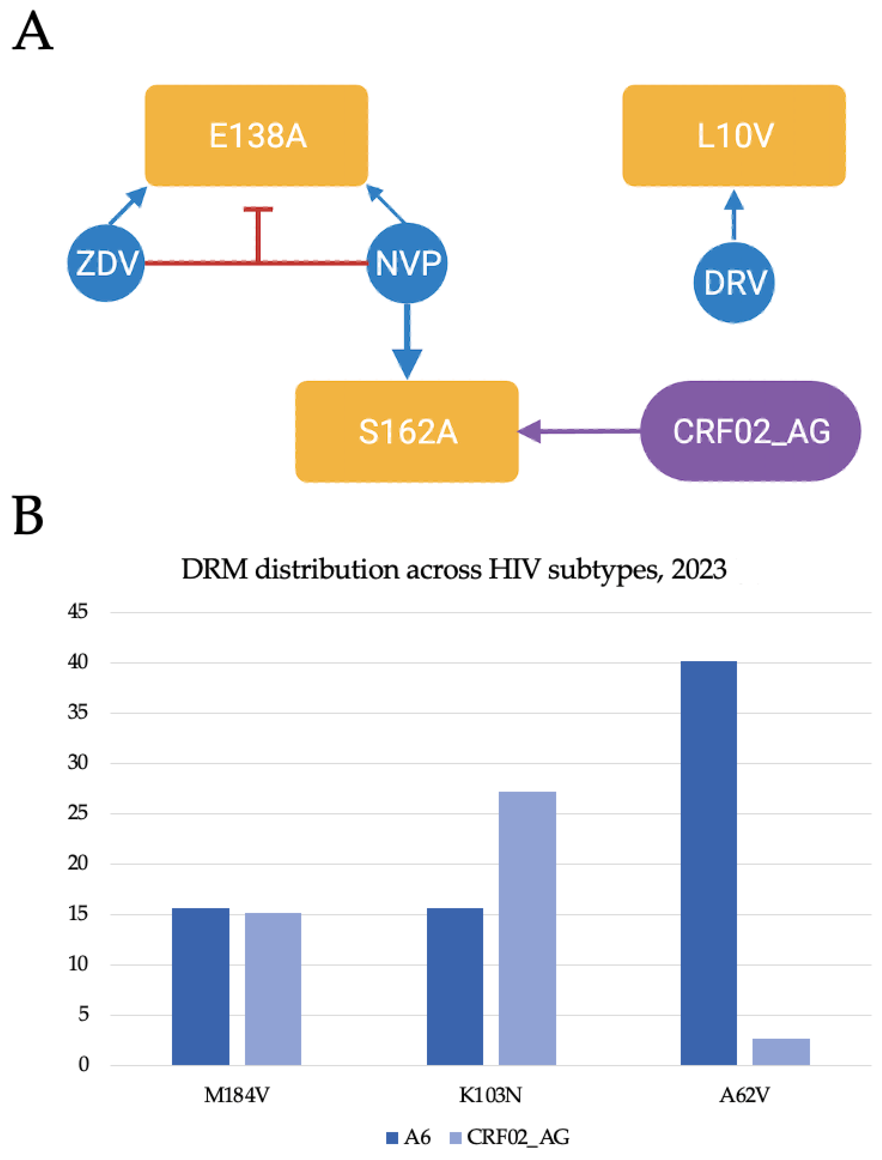 Viruses 17 00690 g001