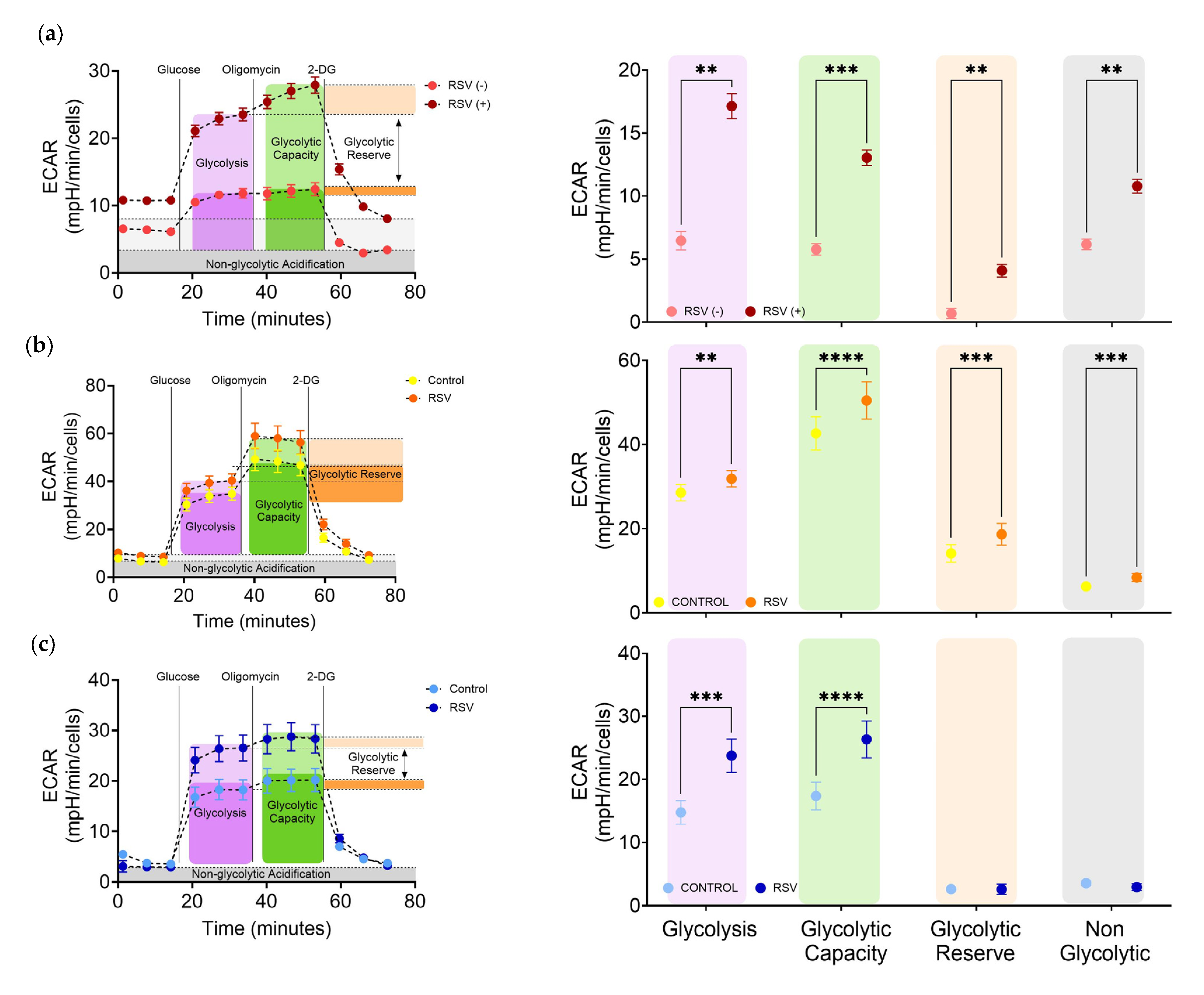 Viruses 17 00703 g003