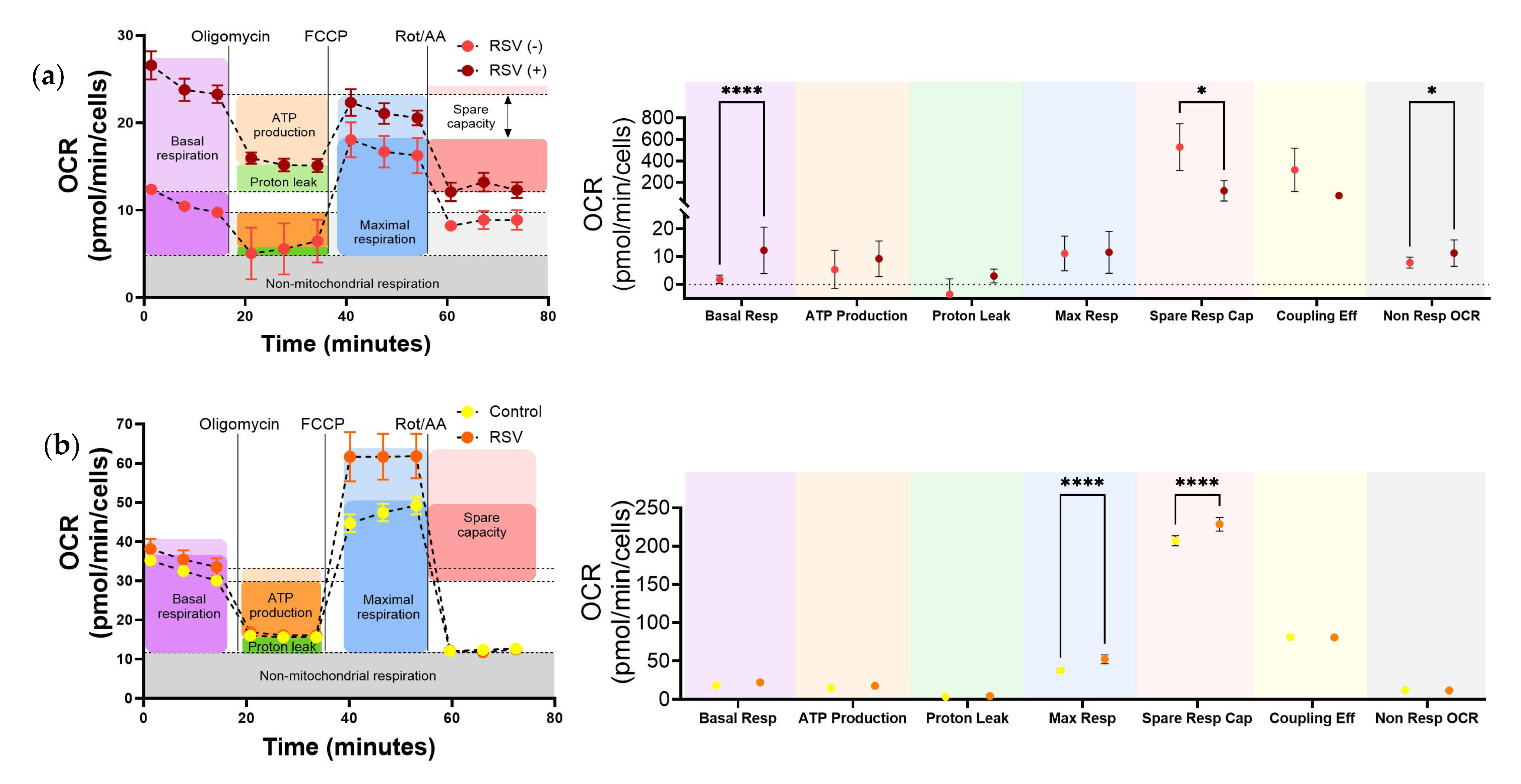 Viruses 17 00703 g004