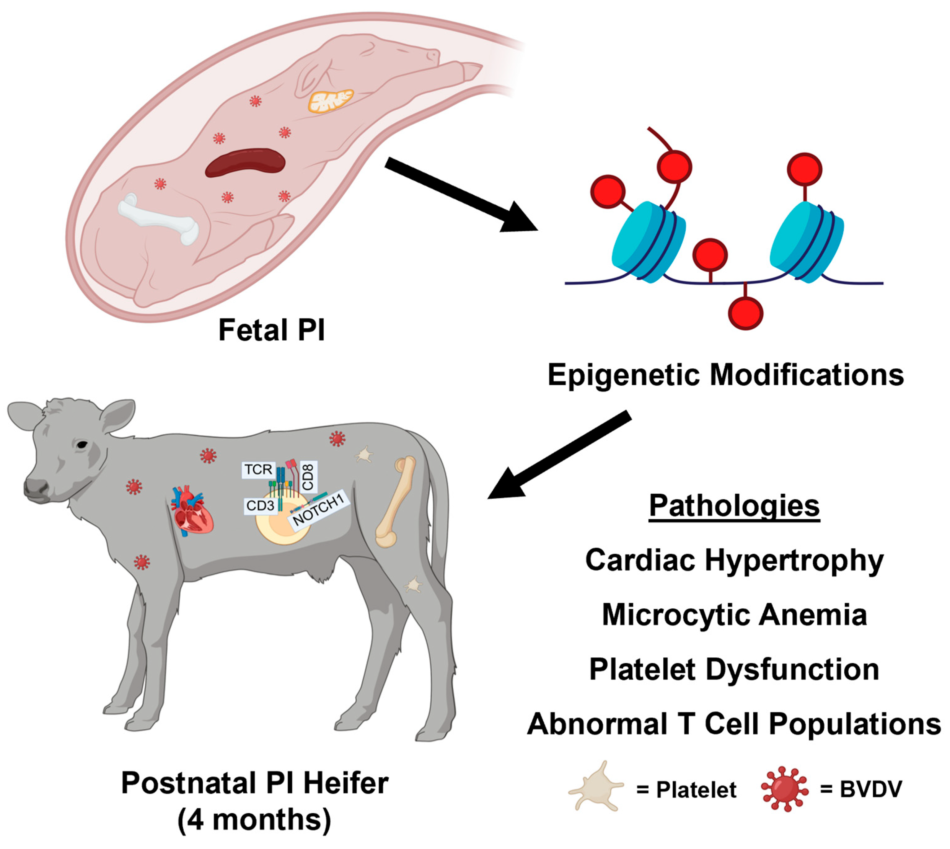 Viruses 17 00708 g006