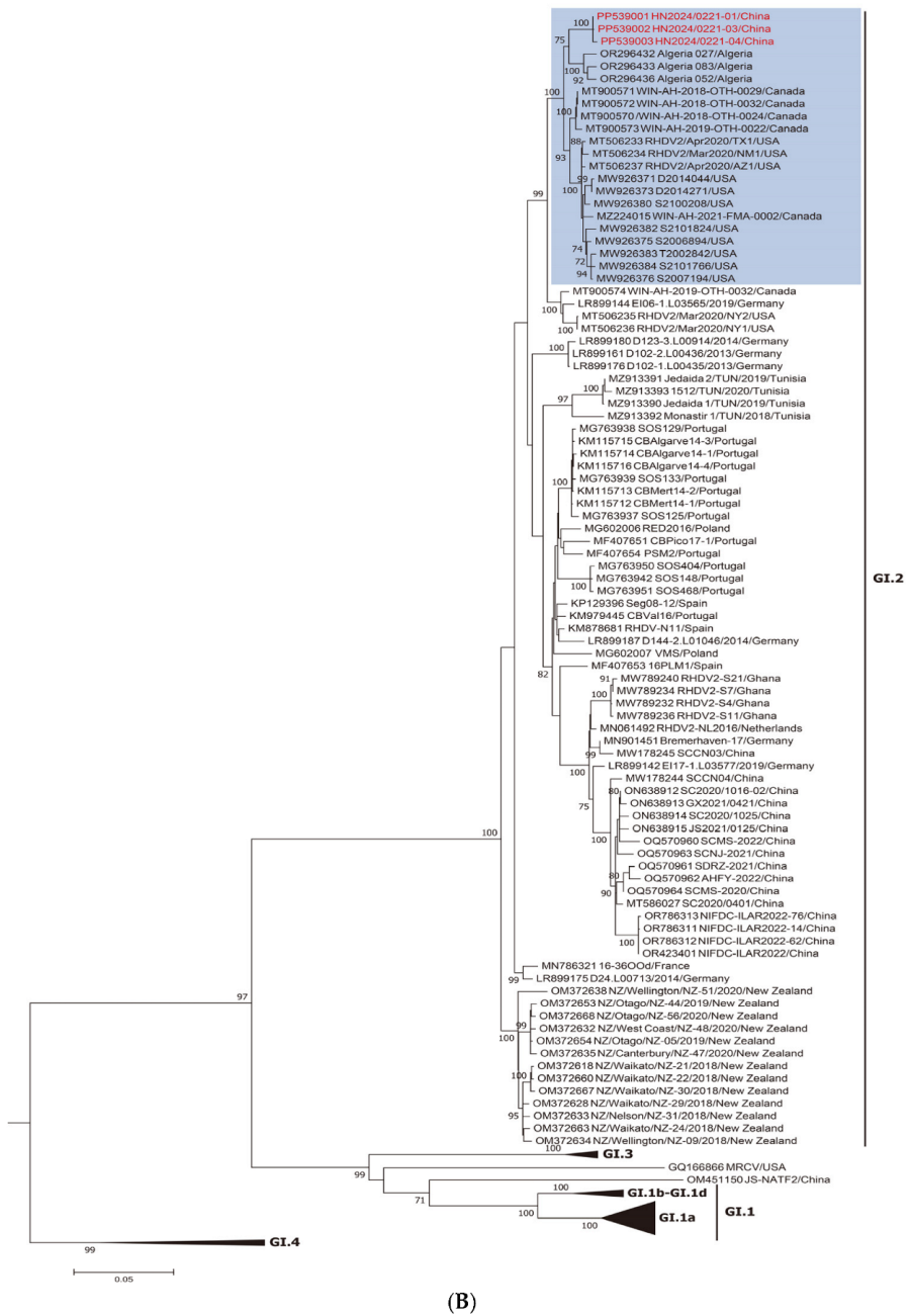 Viruses 17 00710 g001b