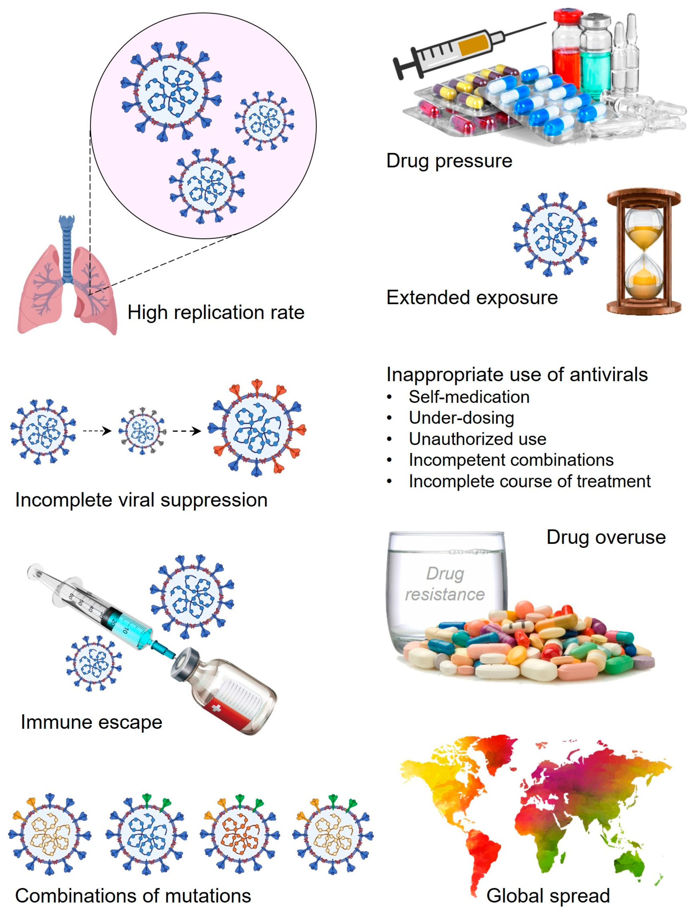 Viruses 17 00722 g001