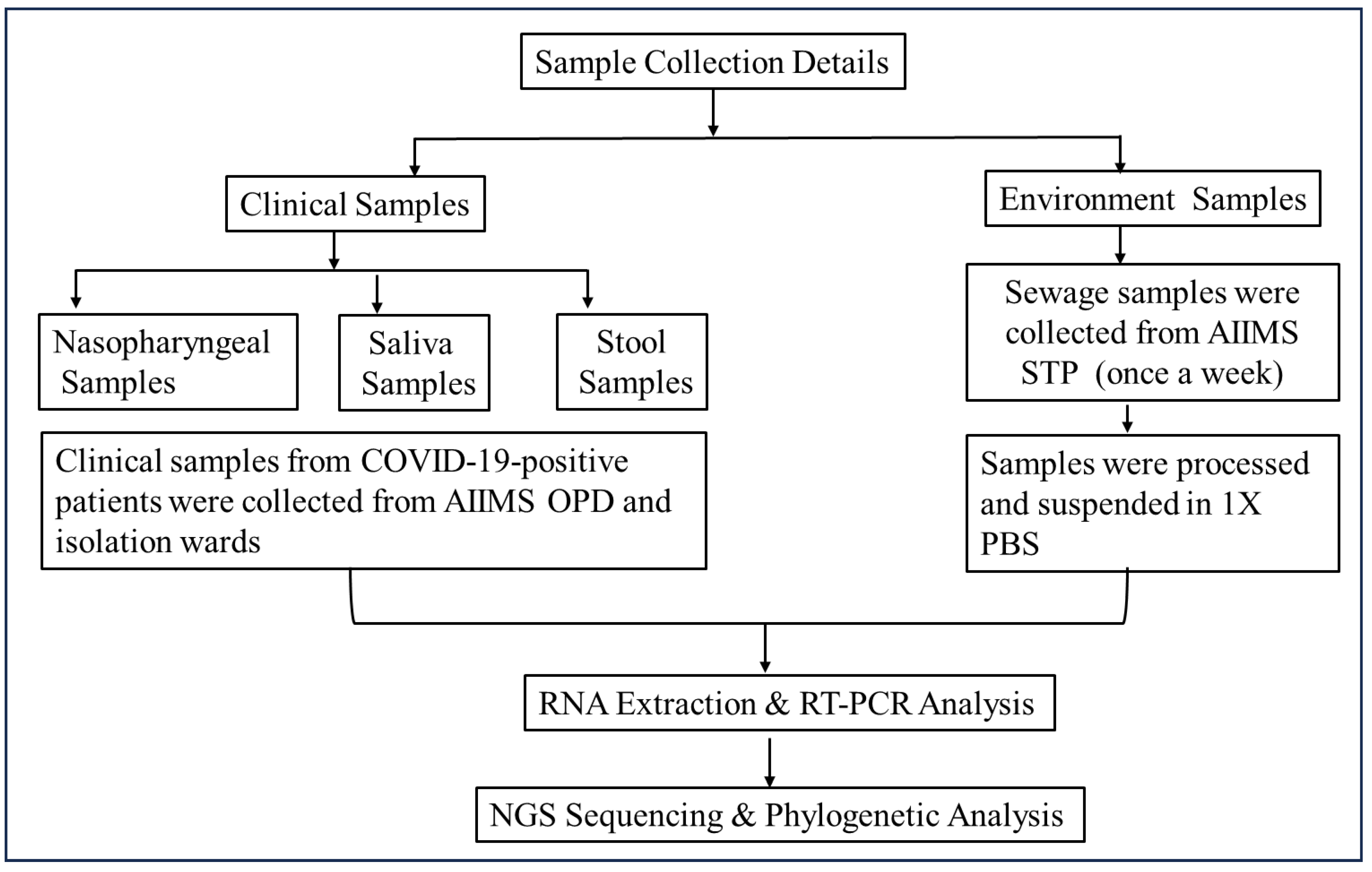 Viruses 17 00726 g001