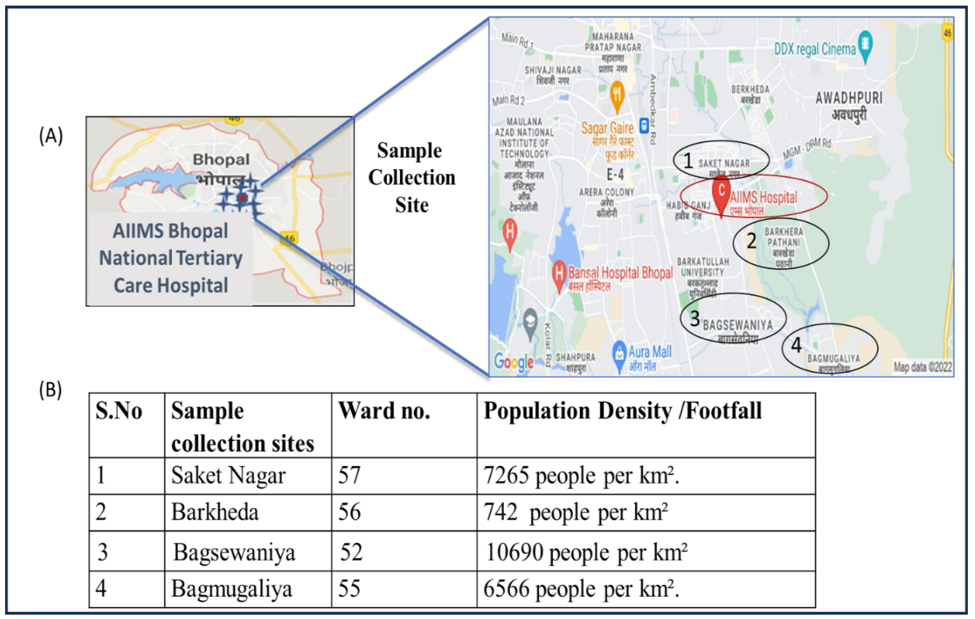 Viruses 17 00726 g002