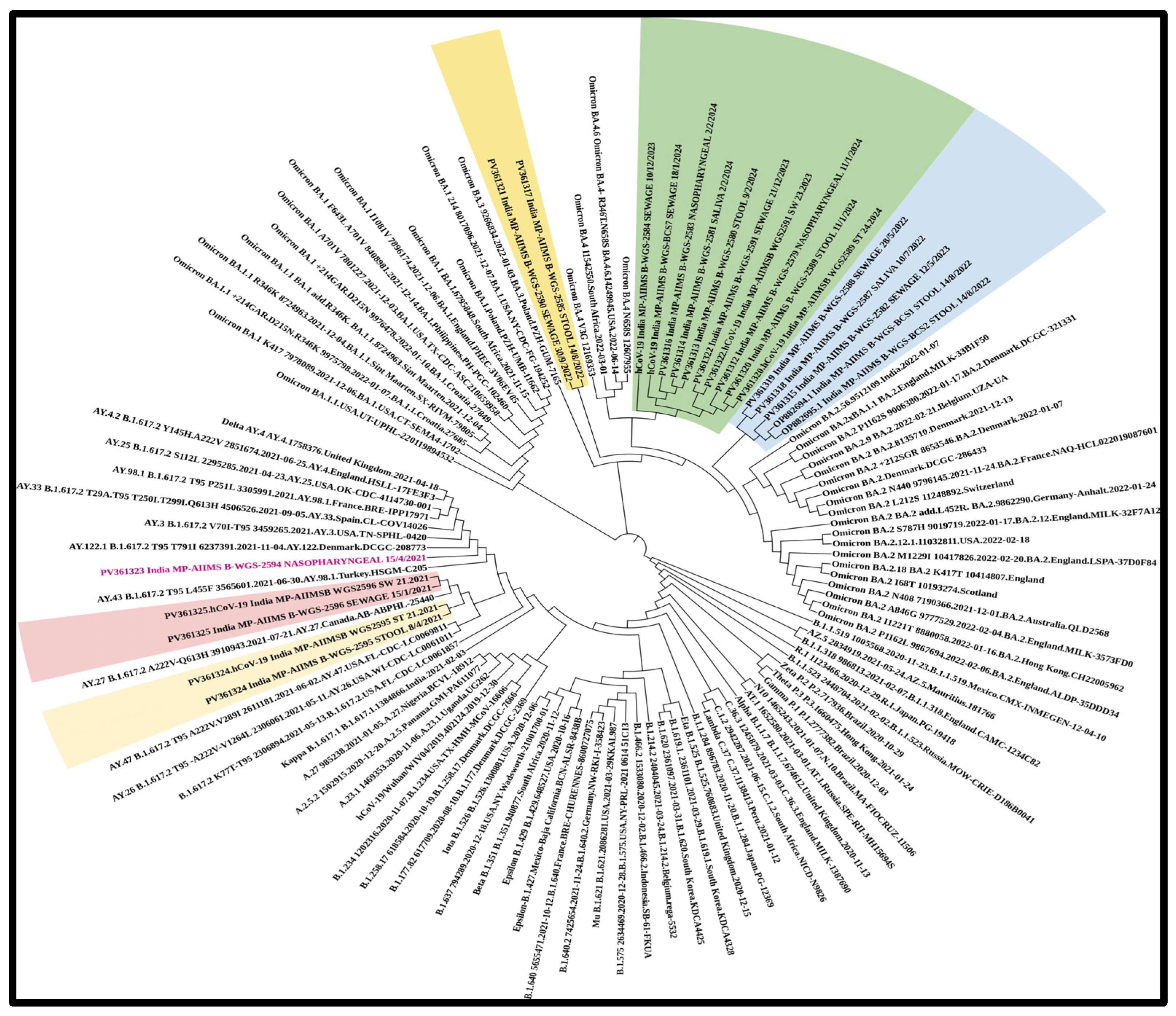 Viruses 17 00726 g007