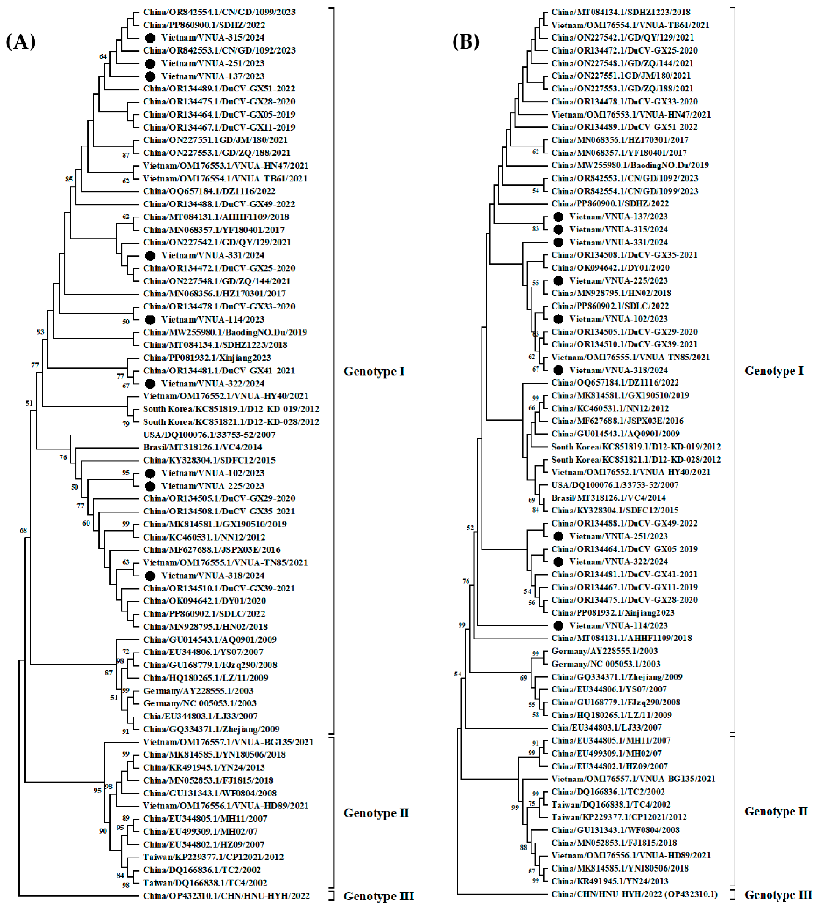 Viruses 17 00732 g002