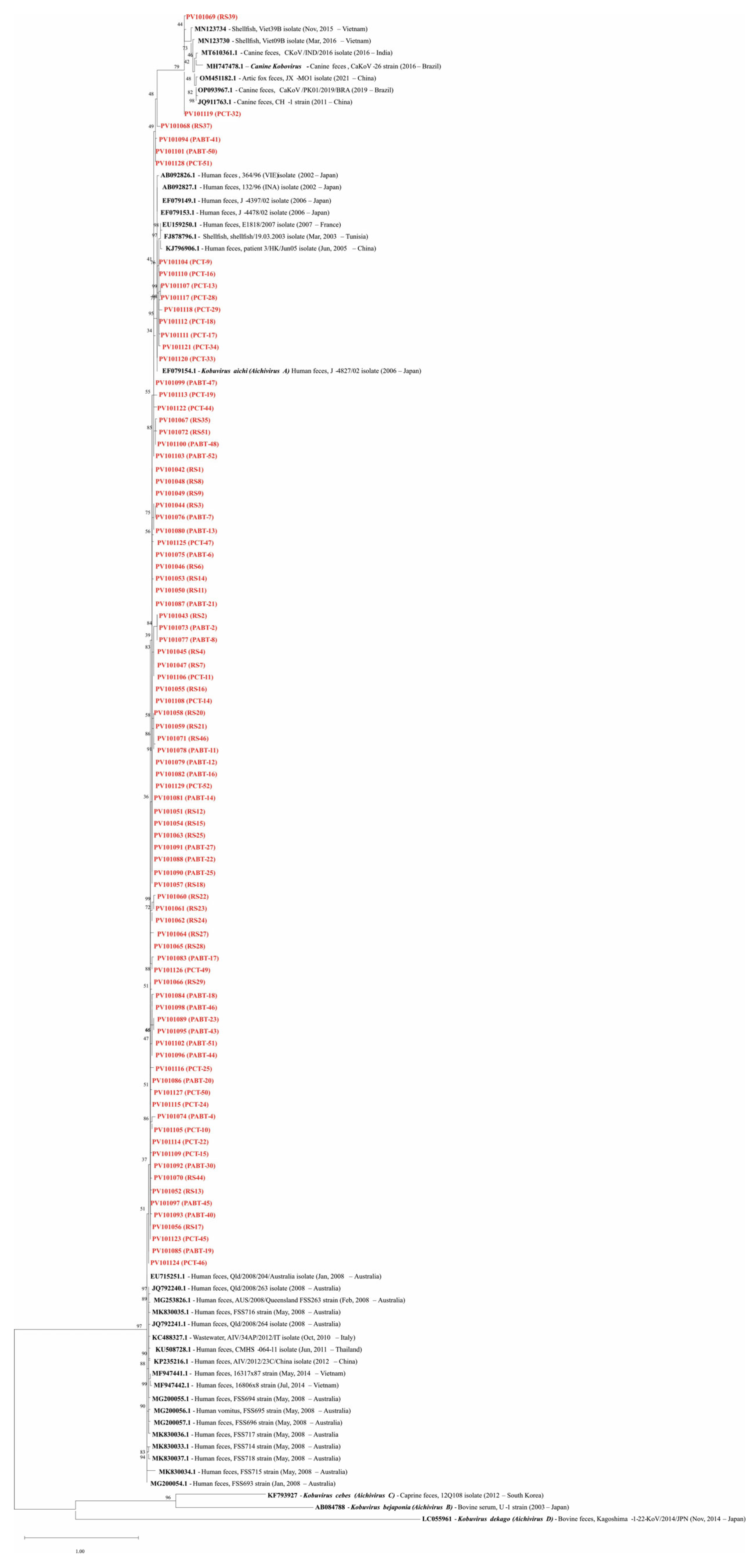 Viruses 17 00736 g004 Viruses 17 00736 g004