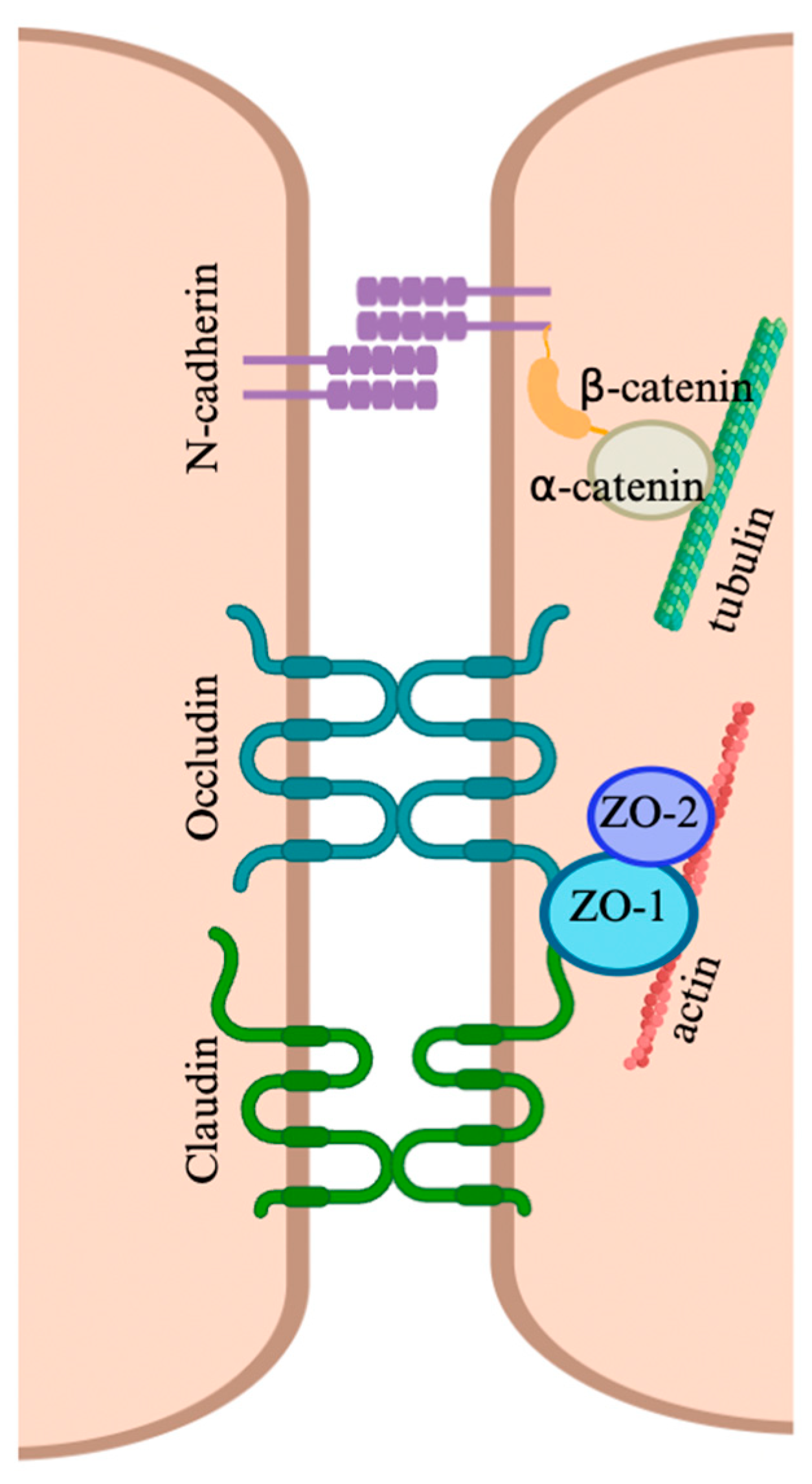 Viruses 17 00747 g002