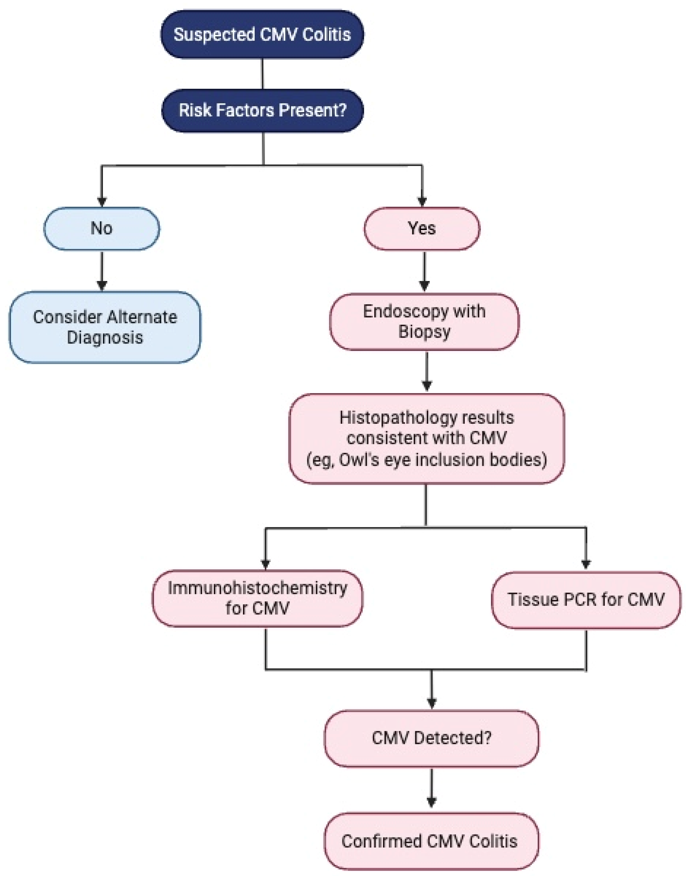 Viruses 17 00752 g004