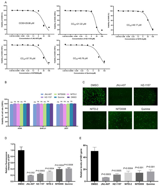 Viruses 17 00759 g003