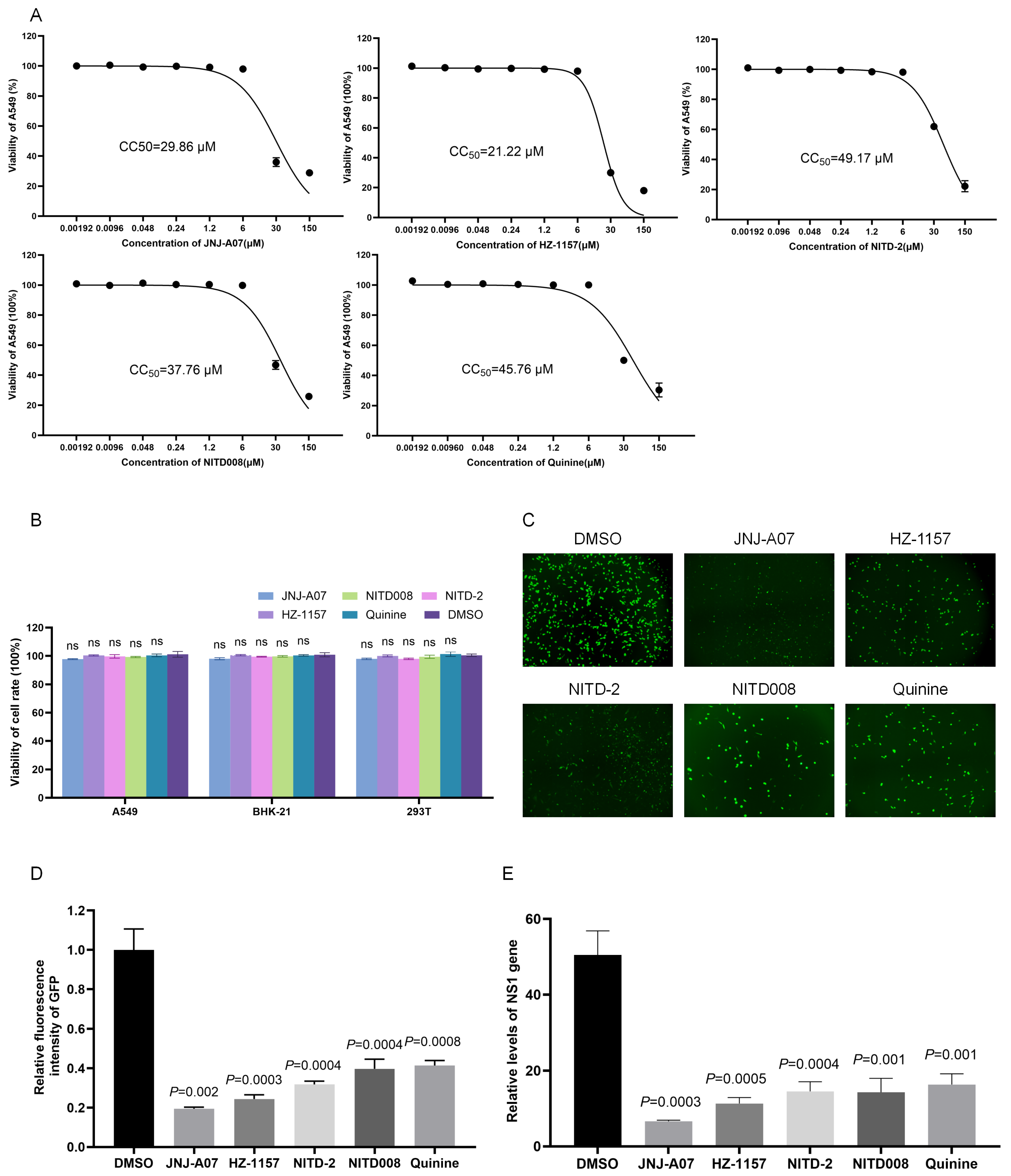 Viruses 17 00759 g003
