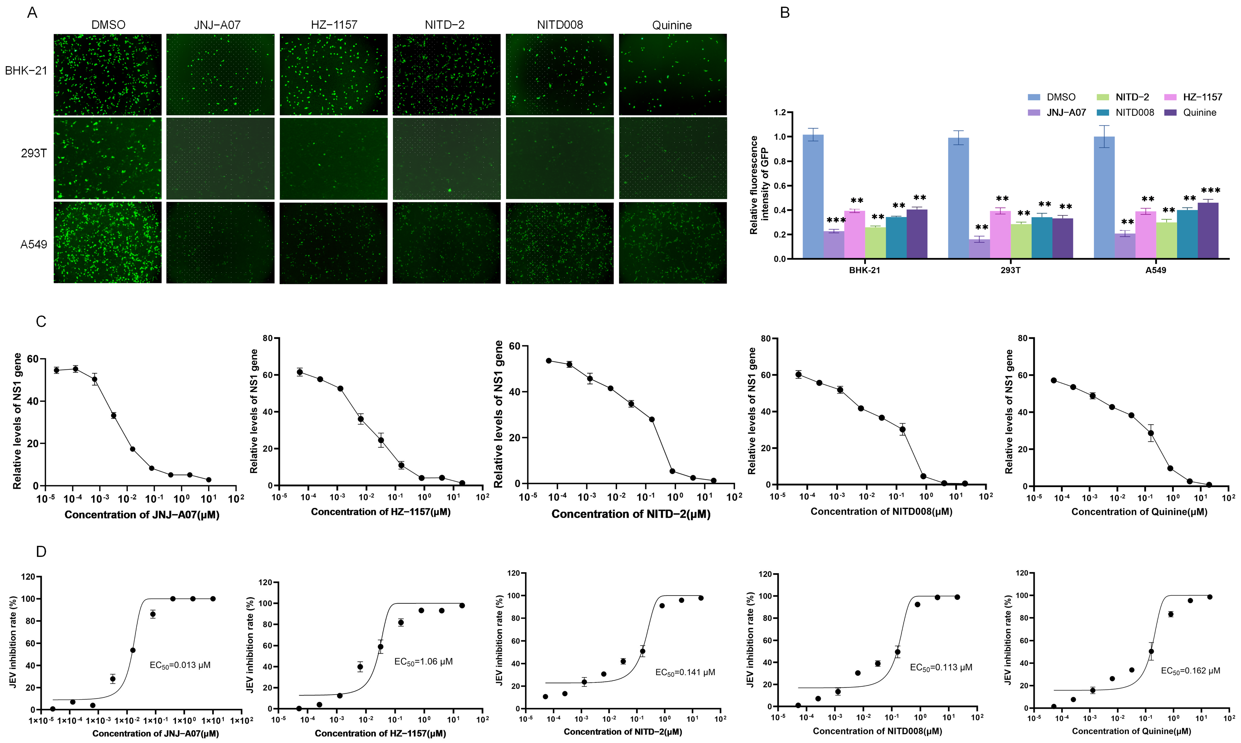 Viruses 17 00759 g004