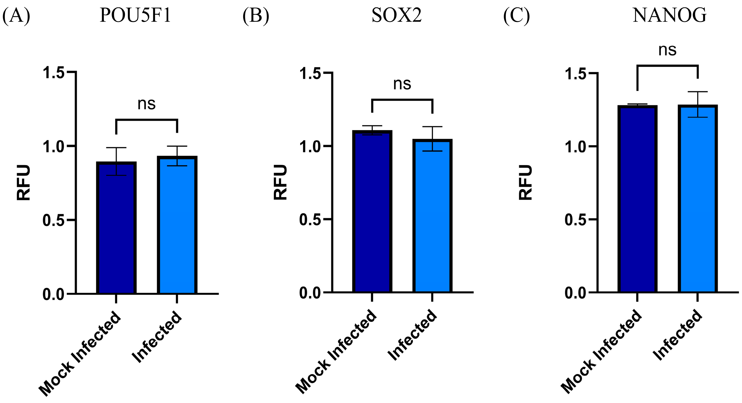 Viruses 17 00763 g002