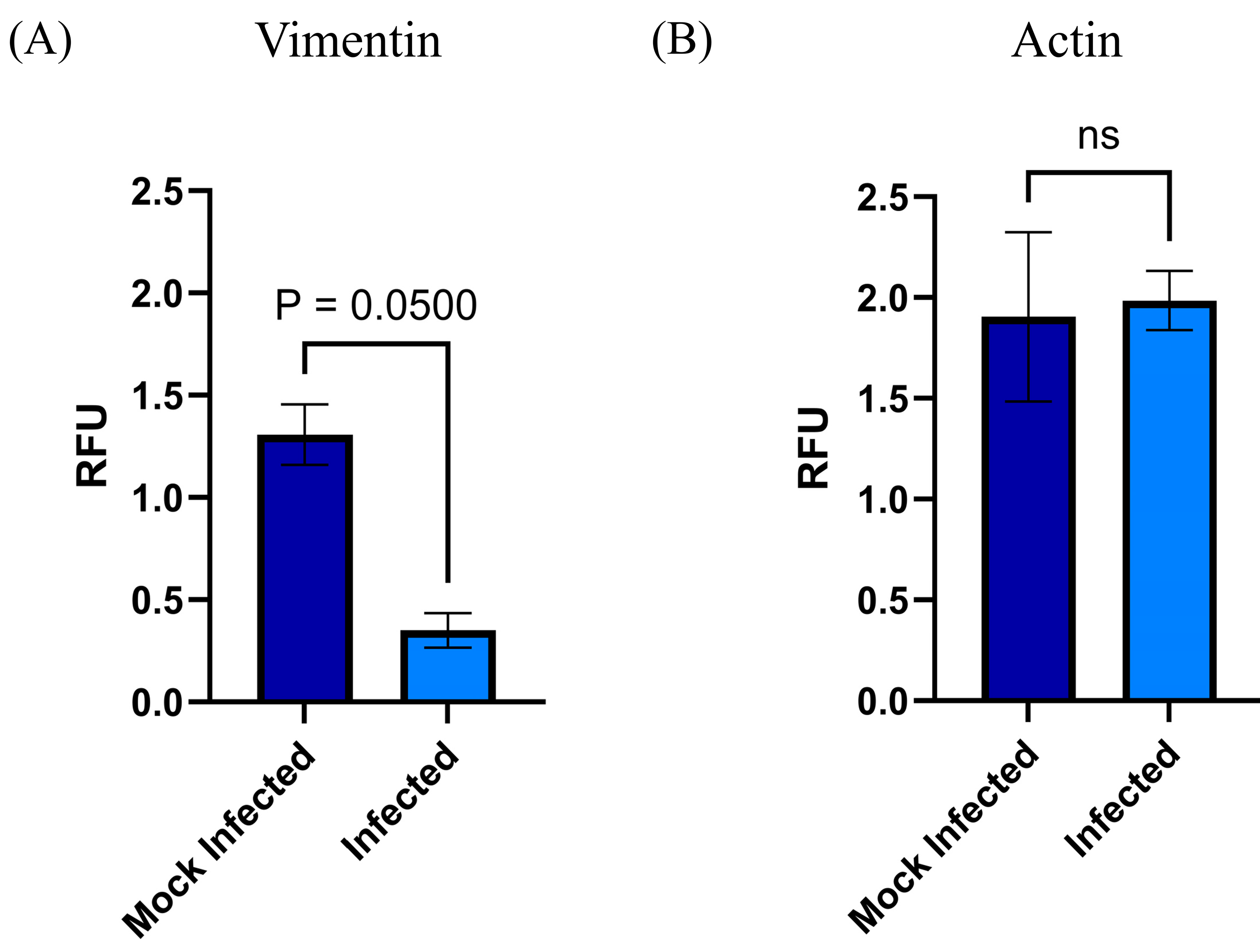 Viruses 17 00763 g005