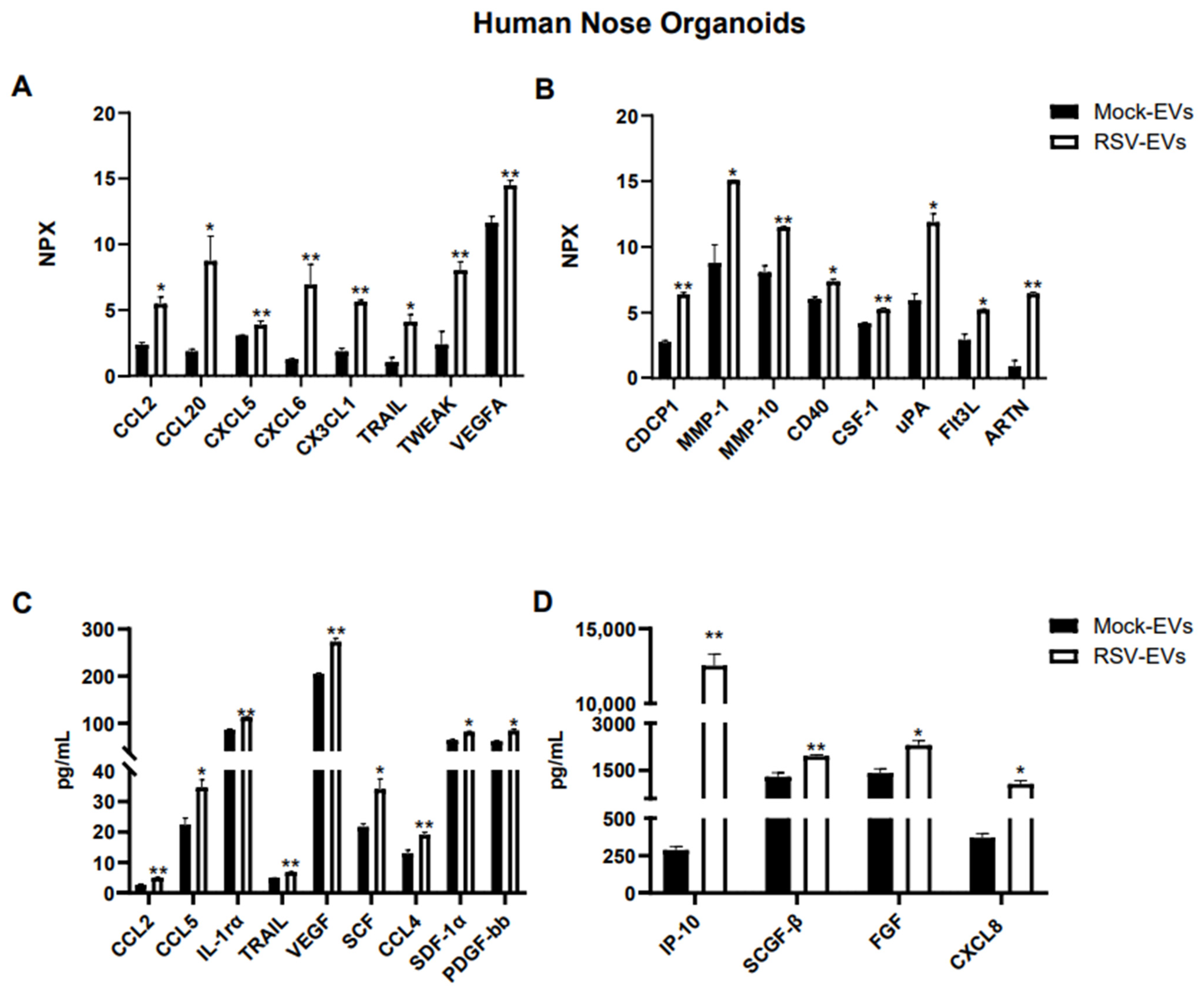 Viruses 17 00764 g002