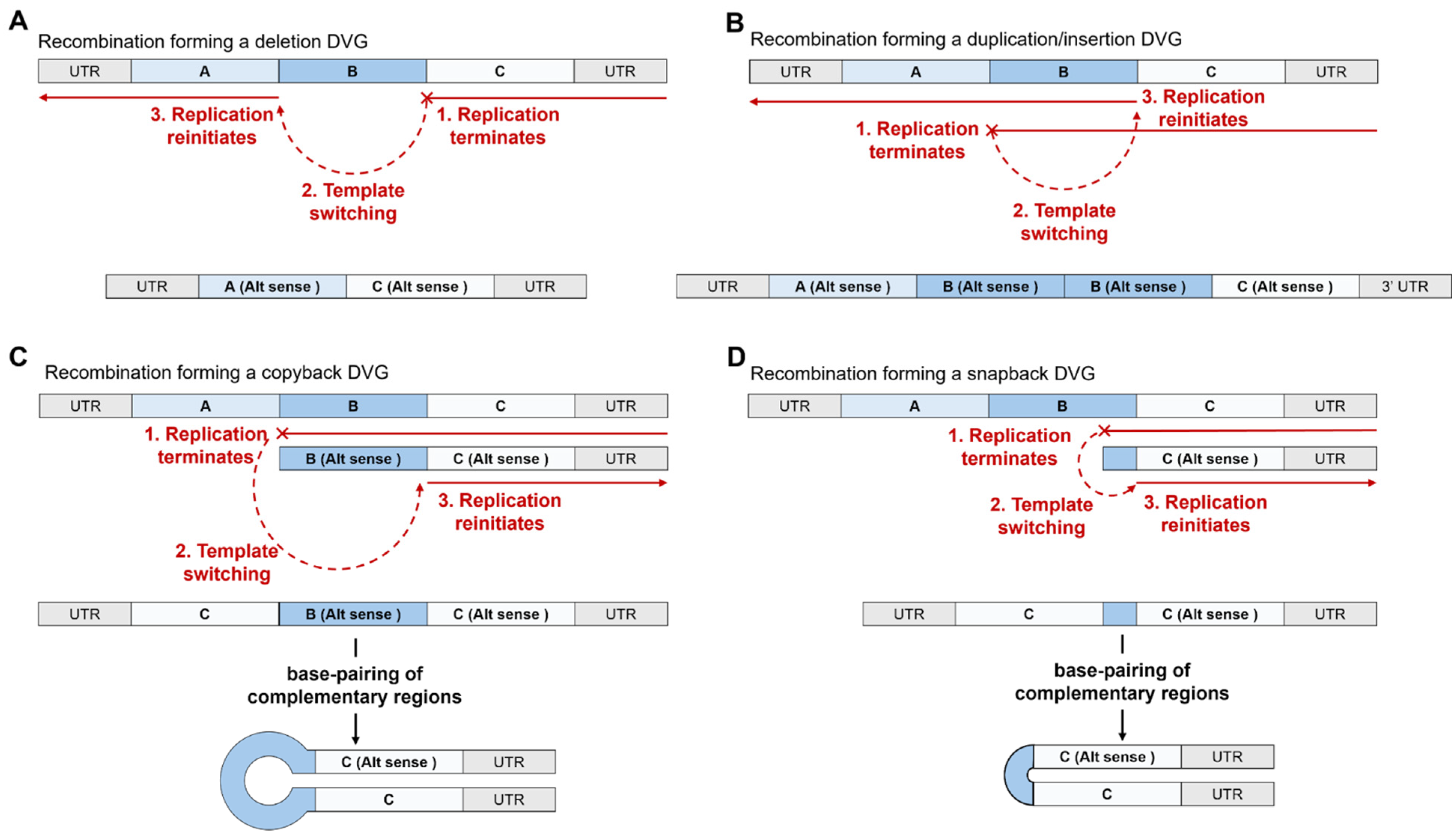 Viruses 17 00767 g004