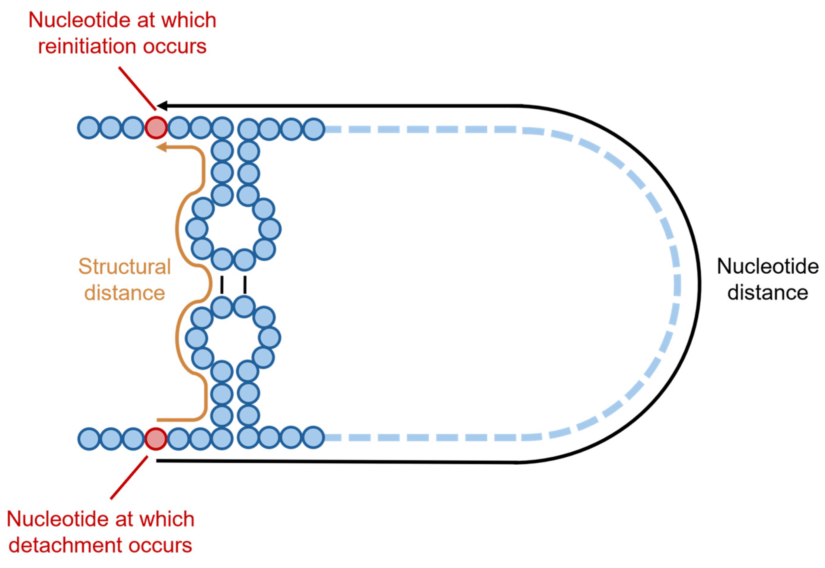 Viruses 17 00767 g005