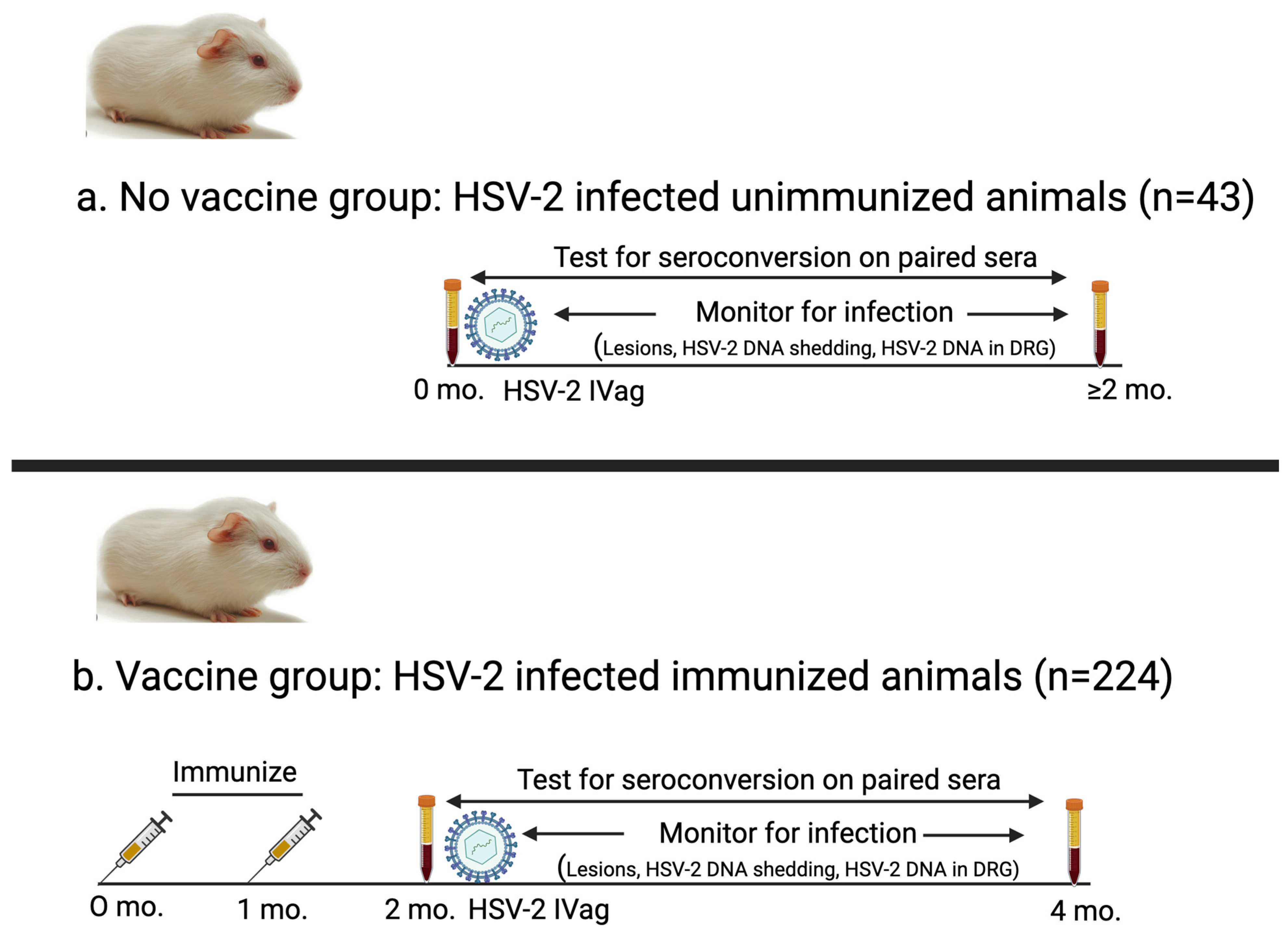 Viruses 17 00773 g001