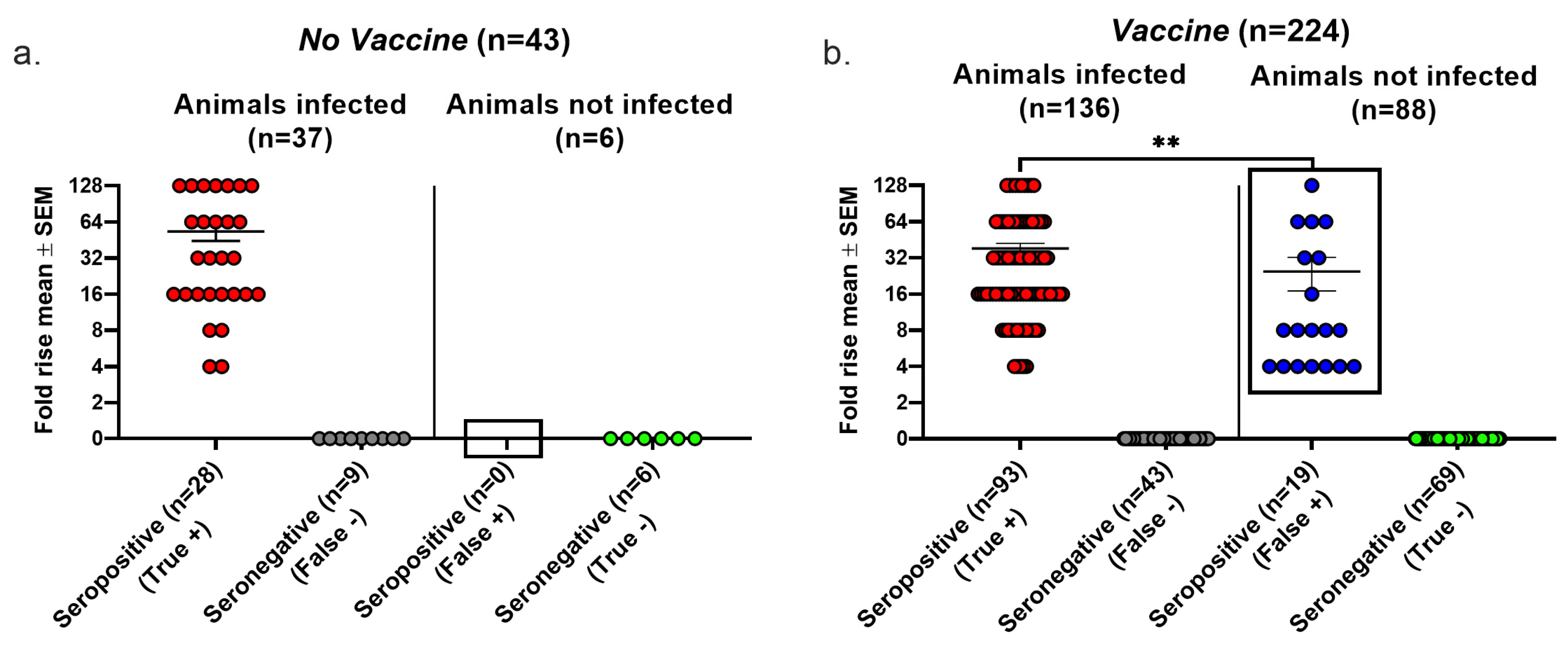 Viruses 17 00773 g003