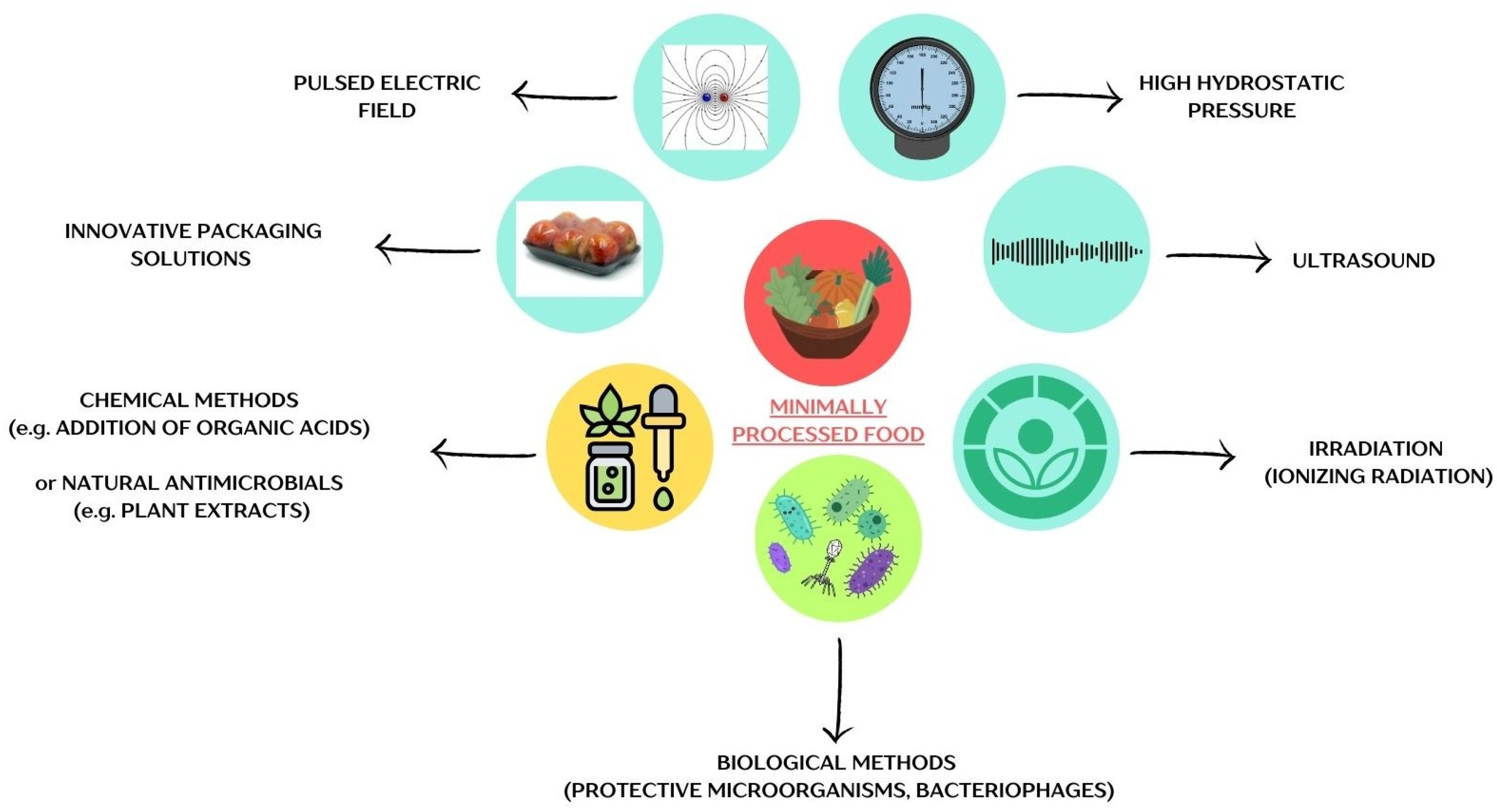 Viruses 17 00778 g001