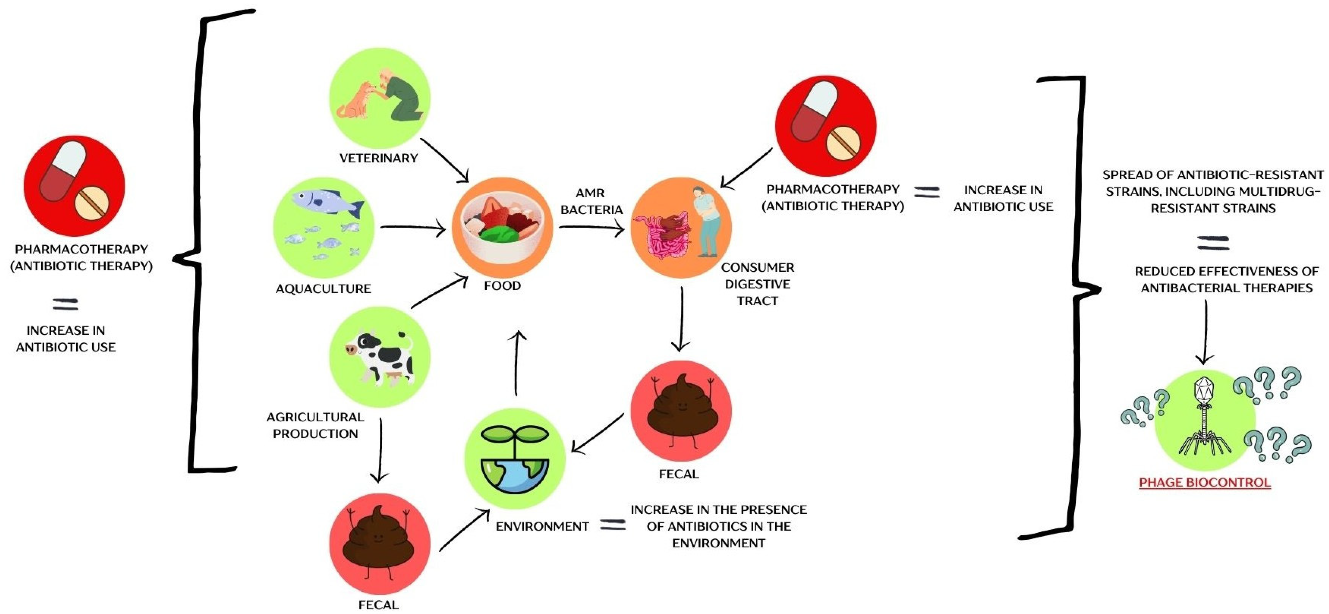 Viruses 17 00778 g002