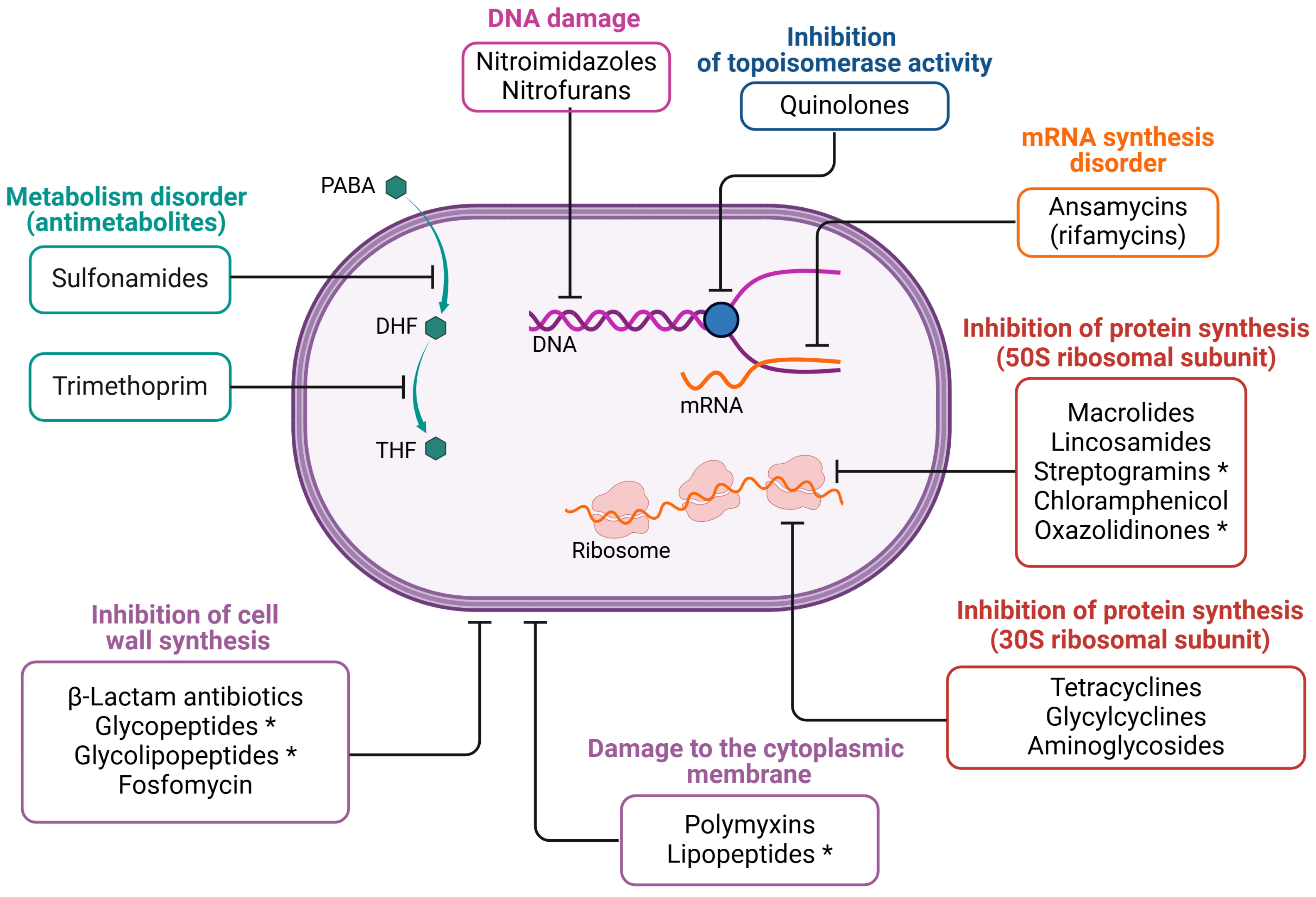 Viruses 17 00778 g003