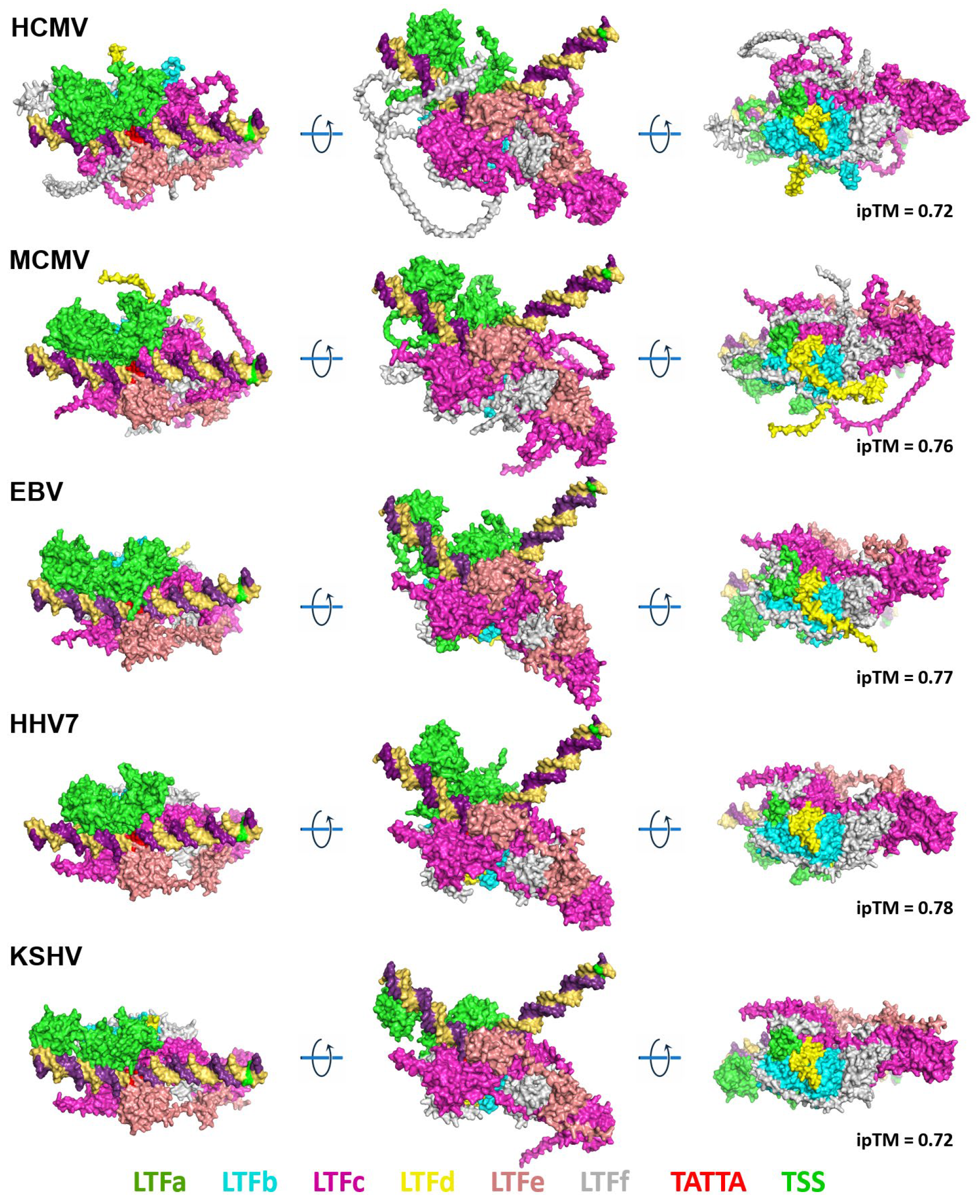 Viruses 17 00779 g002