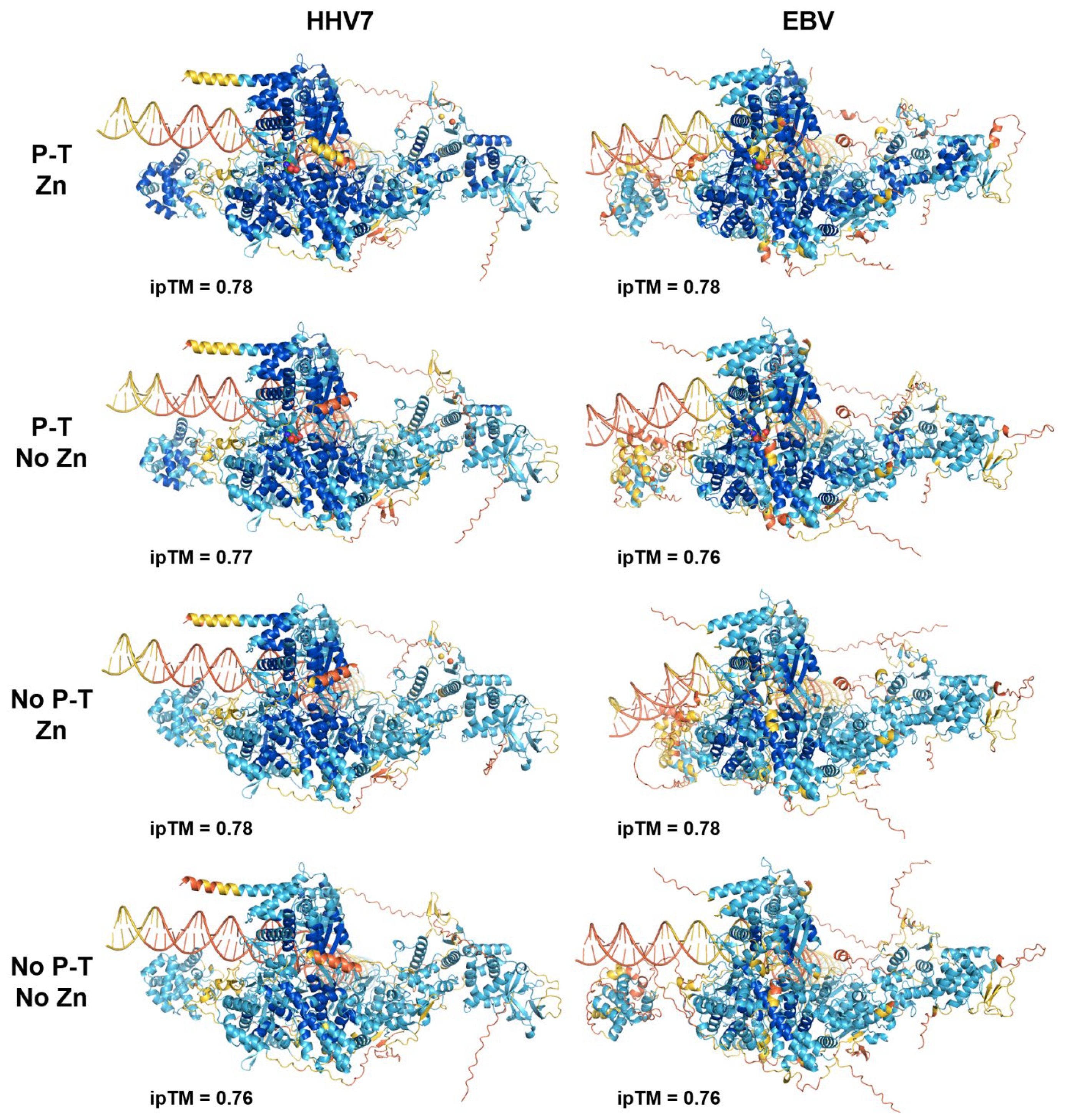 Viruses 17 00779 g004