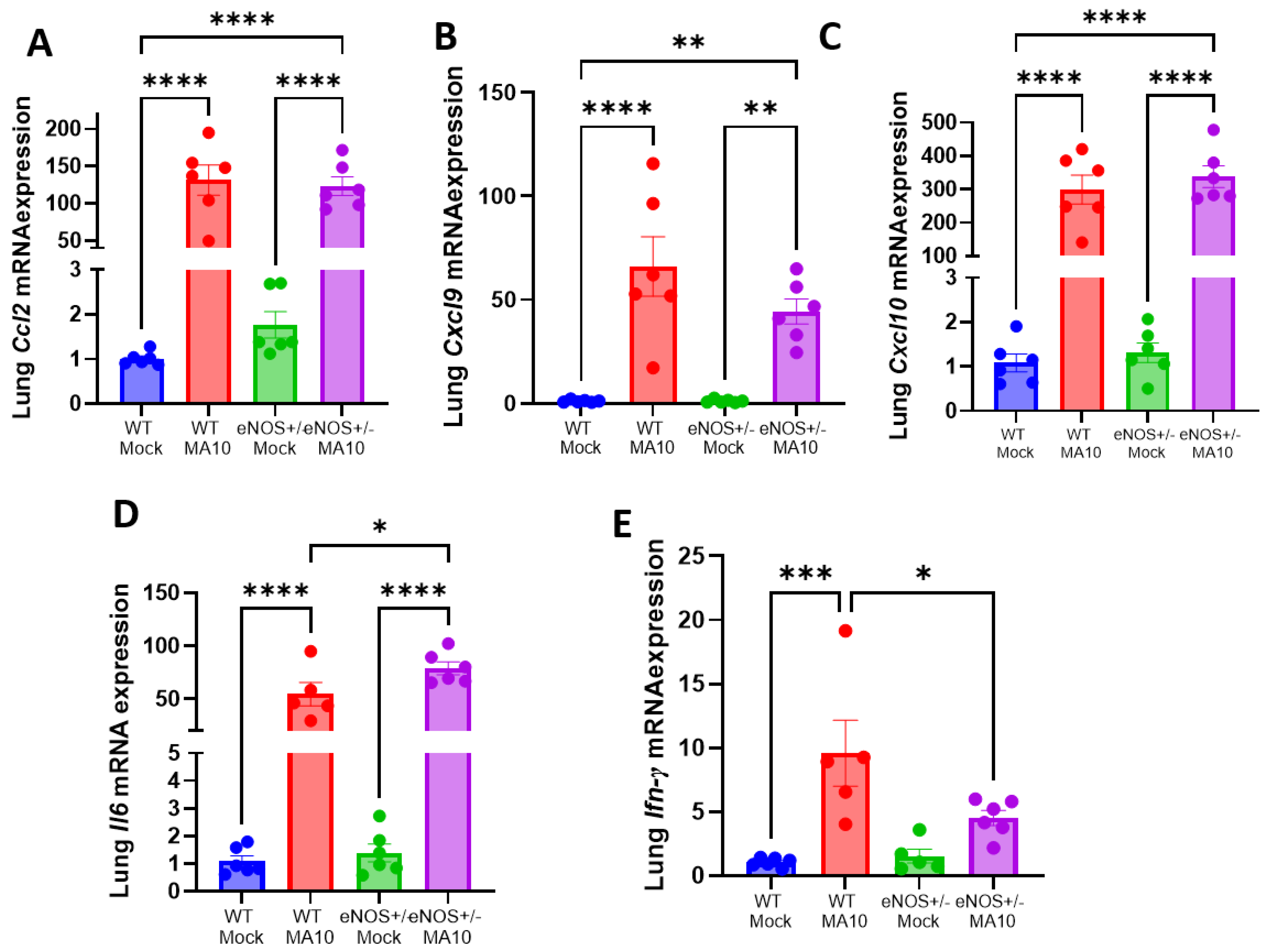 Viruses 17 00784 g002