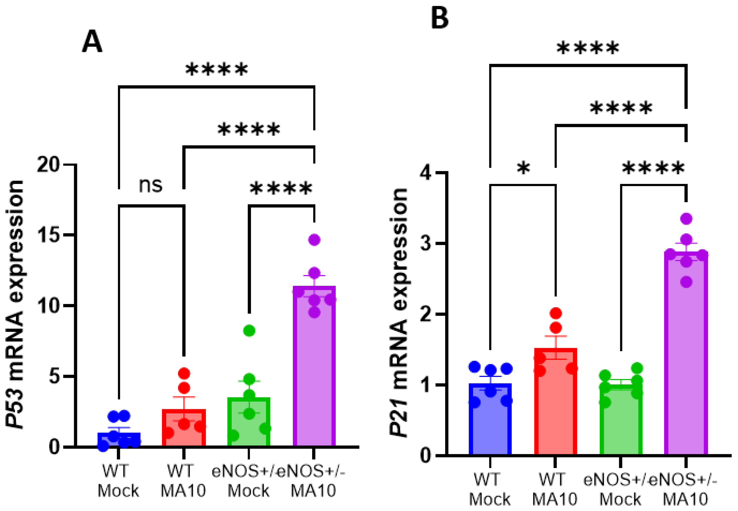 Viruses 17 00784 g004