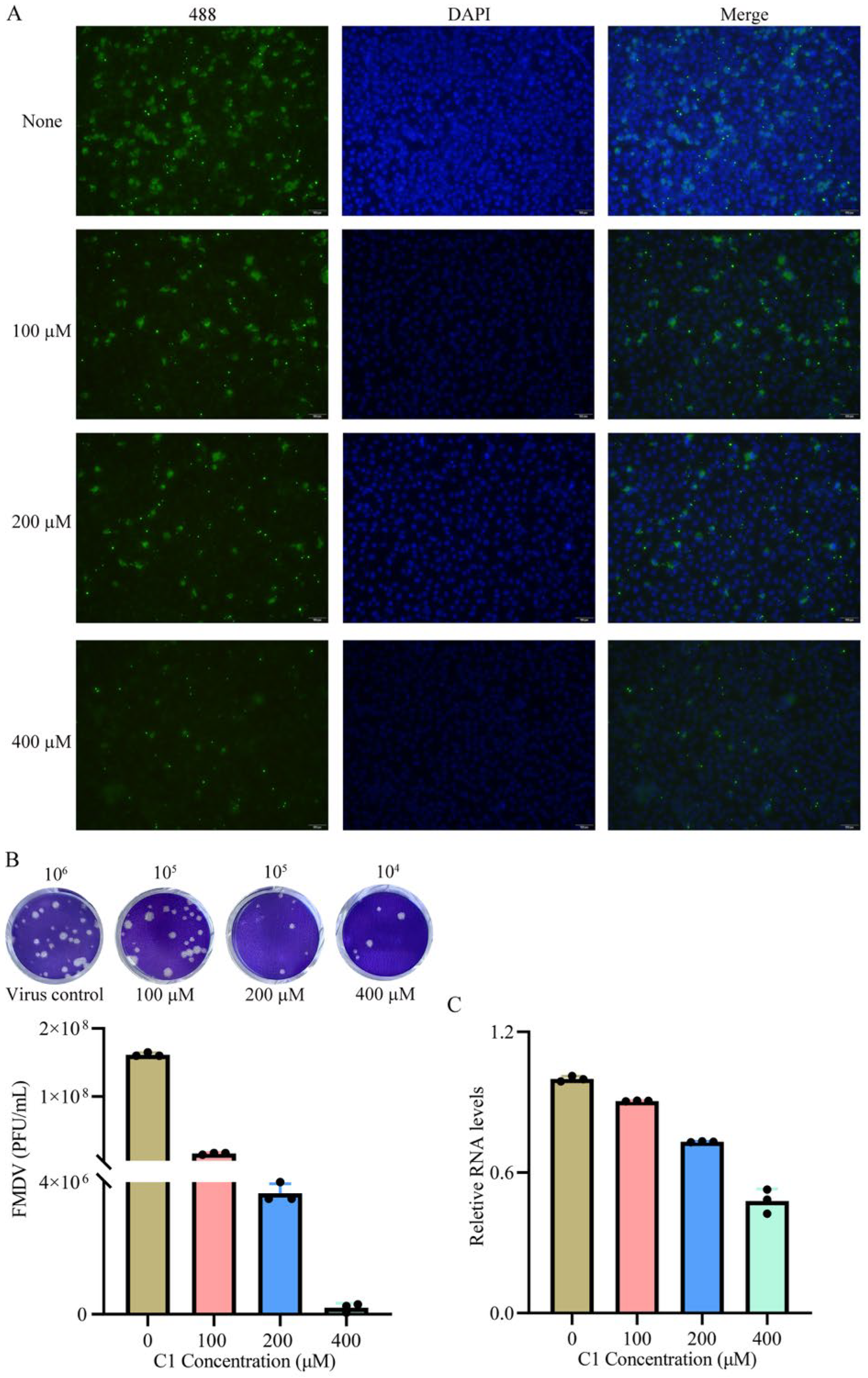 Viruses 17 00785 g006