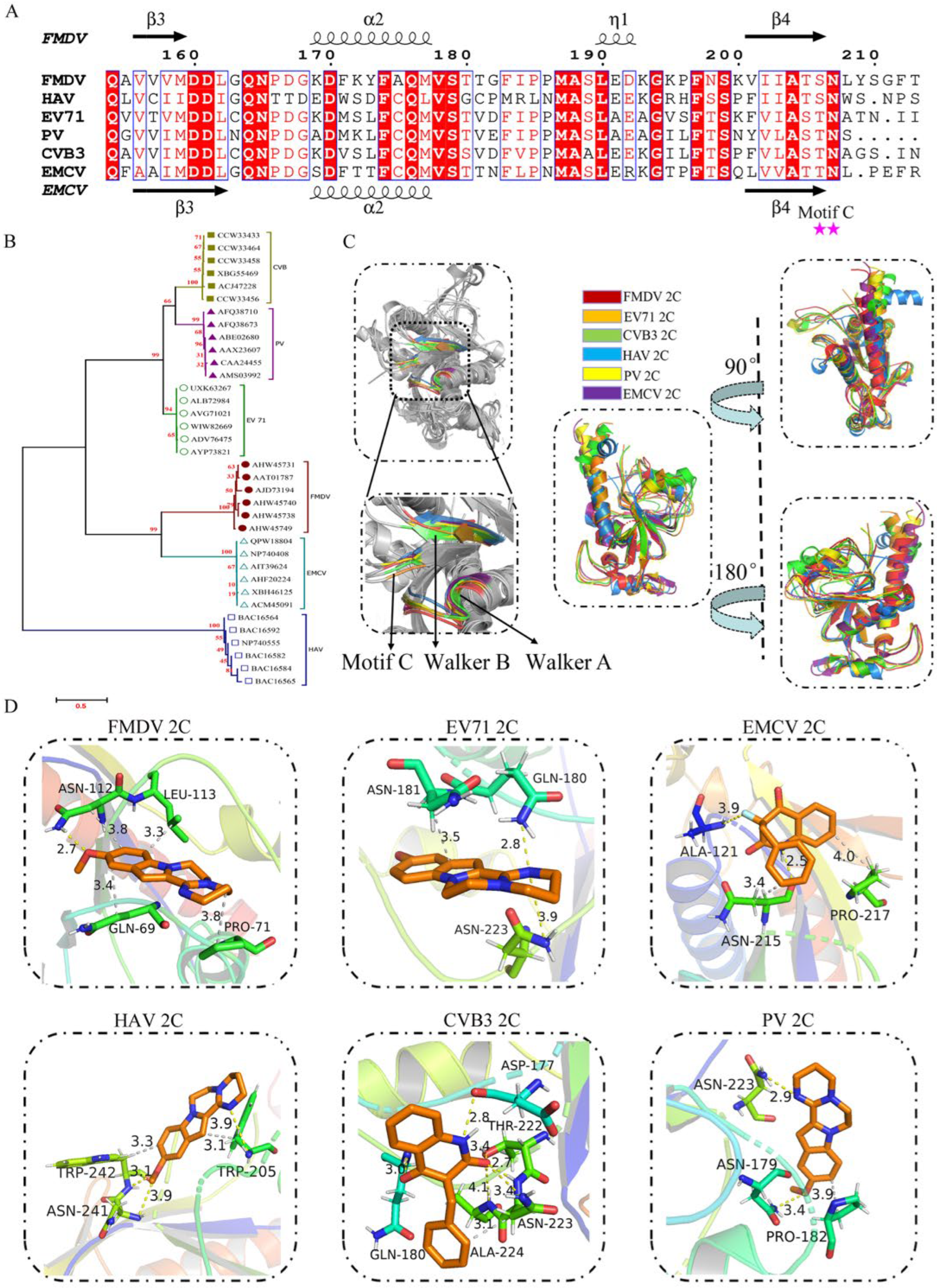 Viruses 17 00785 g008