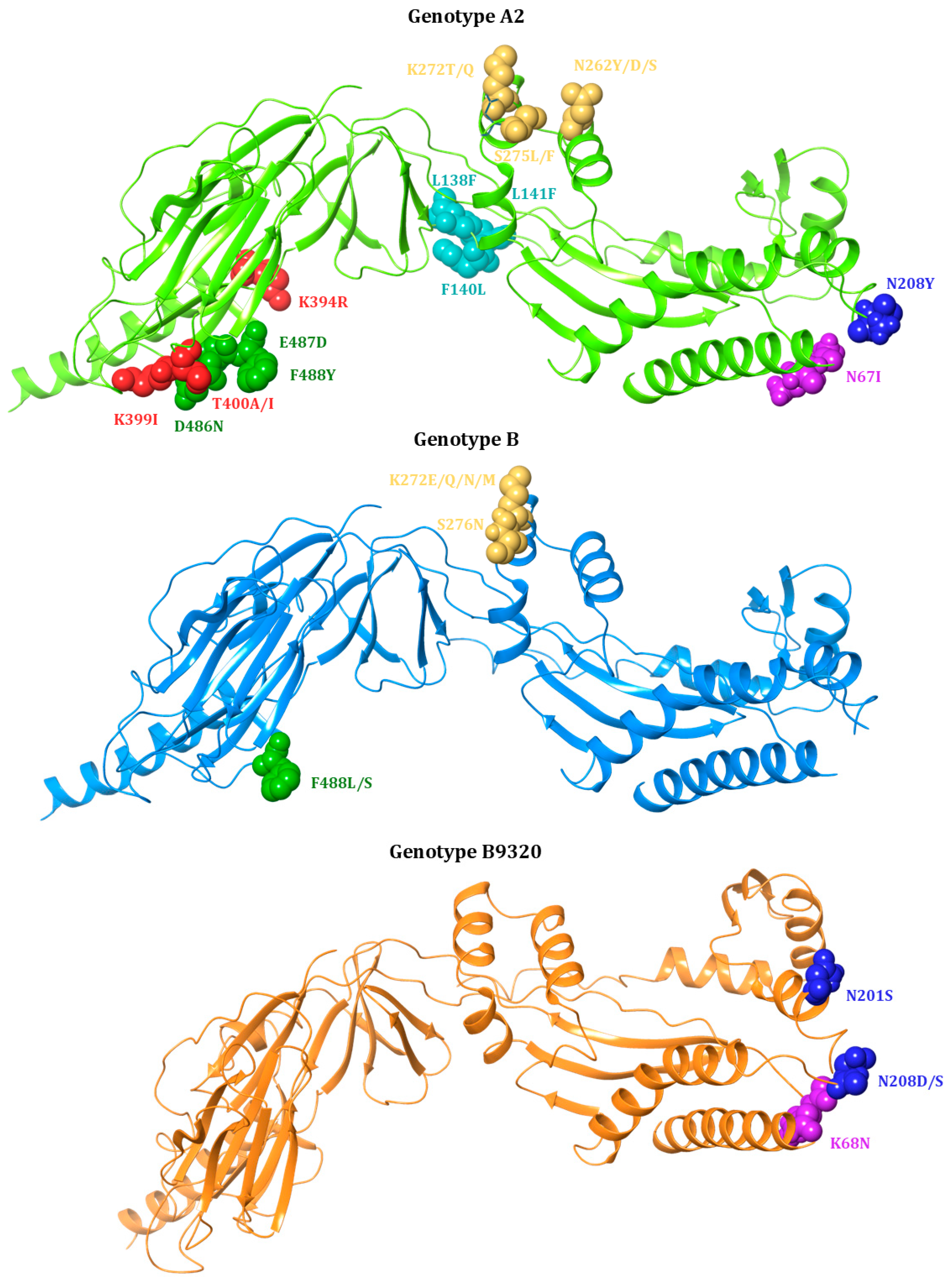 Viruses 17 00793 g004