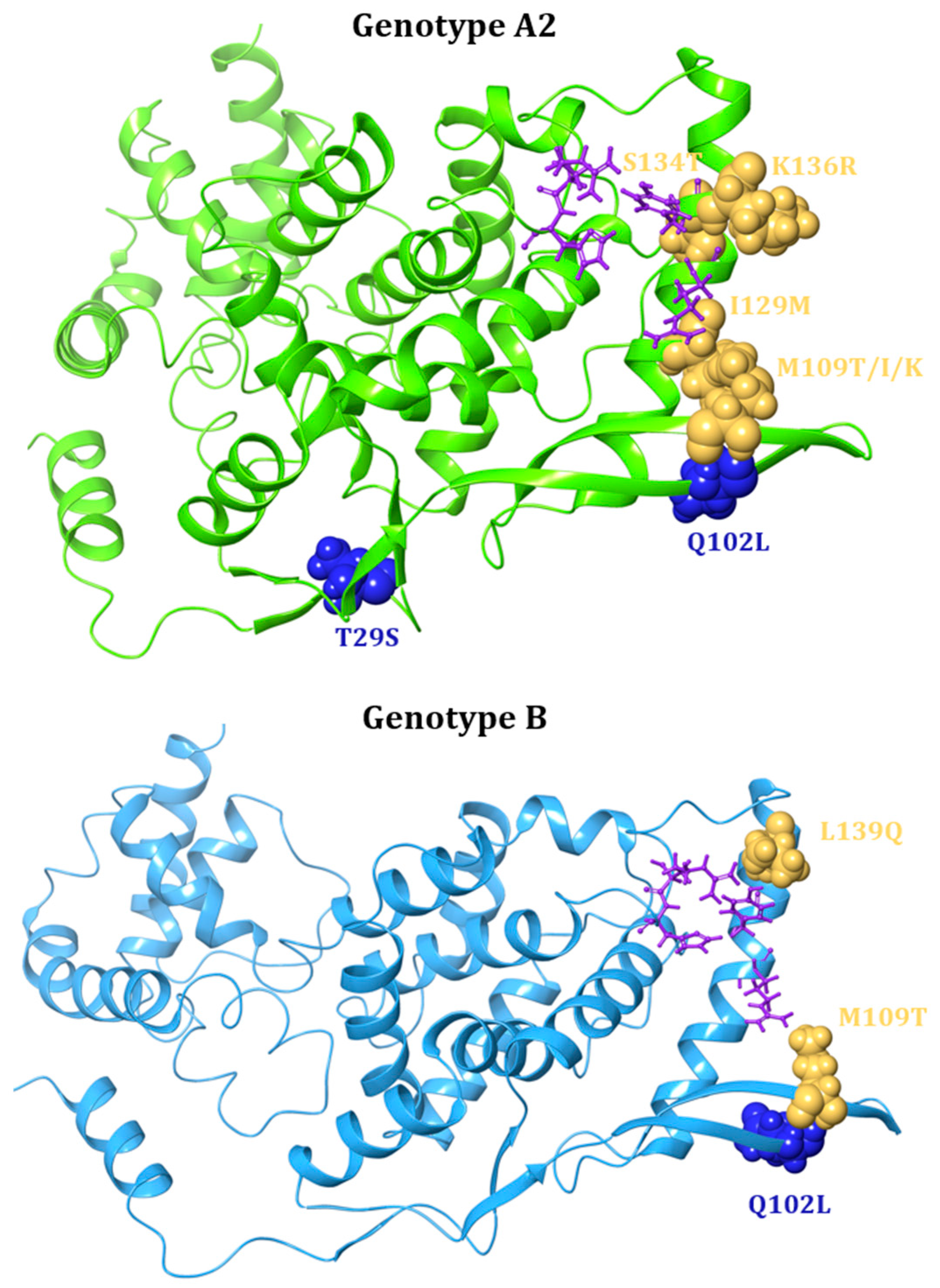 Viruses 17 00793 g006