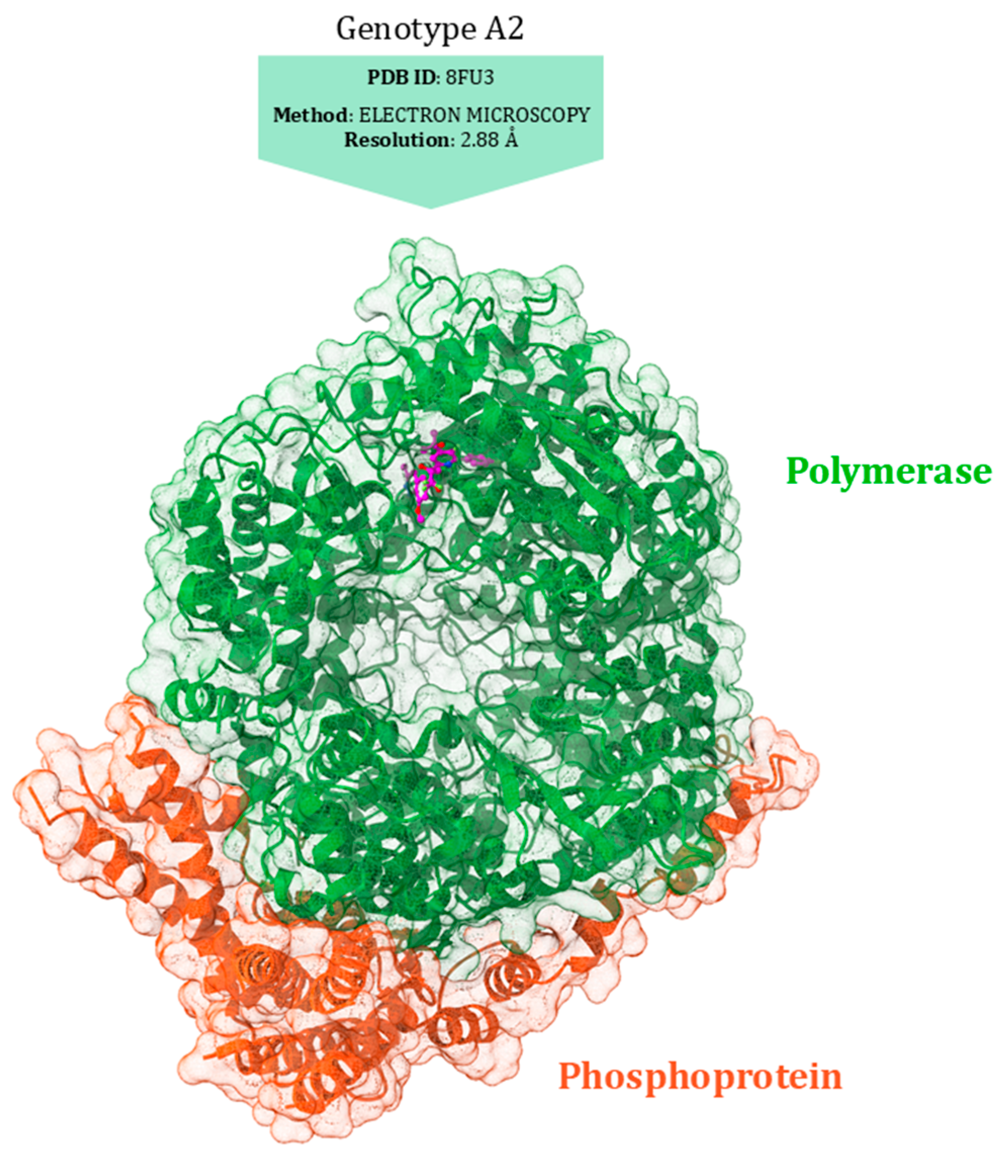Viruses 17 00793 g008